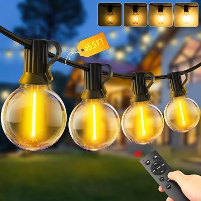 Outdoor Garden String Lights LED – 65.5Ft G40 20M Festoon Light Mains Powered with Remote Control Dimmable Timer Outside Lighting Waterproof Shatterproof Bulb Hanging for Balcony Gazebo Patio Pergola