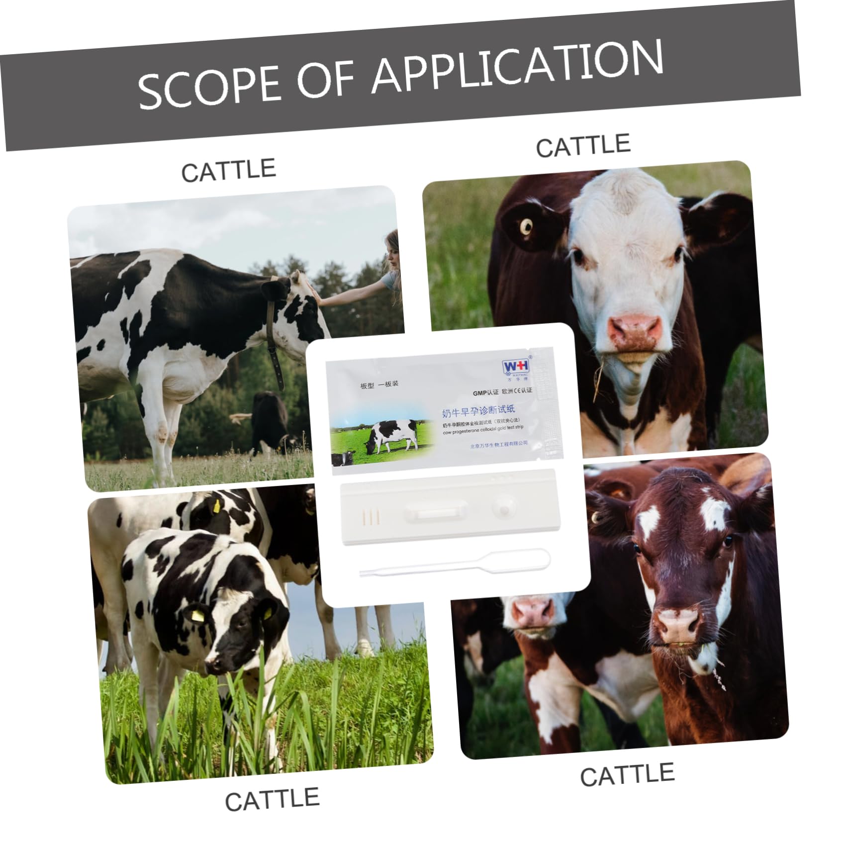 2pcs Cow Pregnancy Test Paper High Precision Cattle Detection Strips for Early Pregnancy Diagnosis Accurate Results Vacuum-packed for Safety and Health