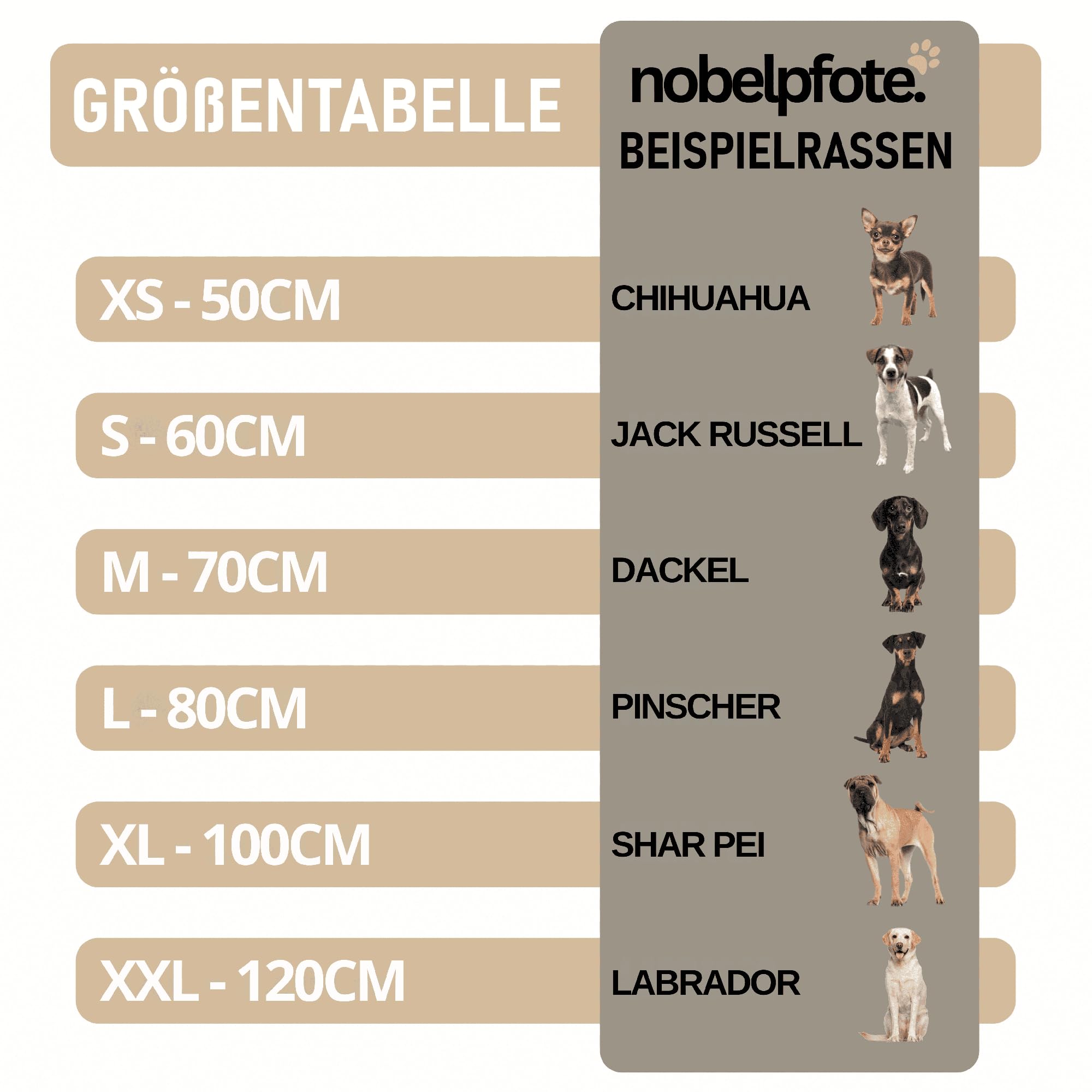 Hundebett Wolke 7 - Kuscheliges Hundekissen, waschbarer Bezug, gelenkschonend für kleine, mittelgroße & große Hunde, Beige, M - 70cm