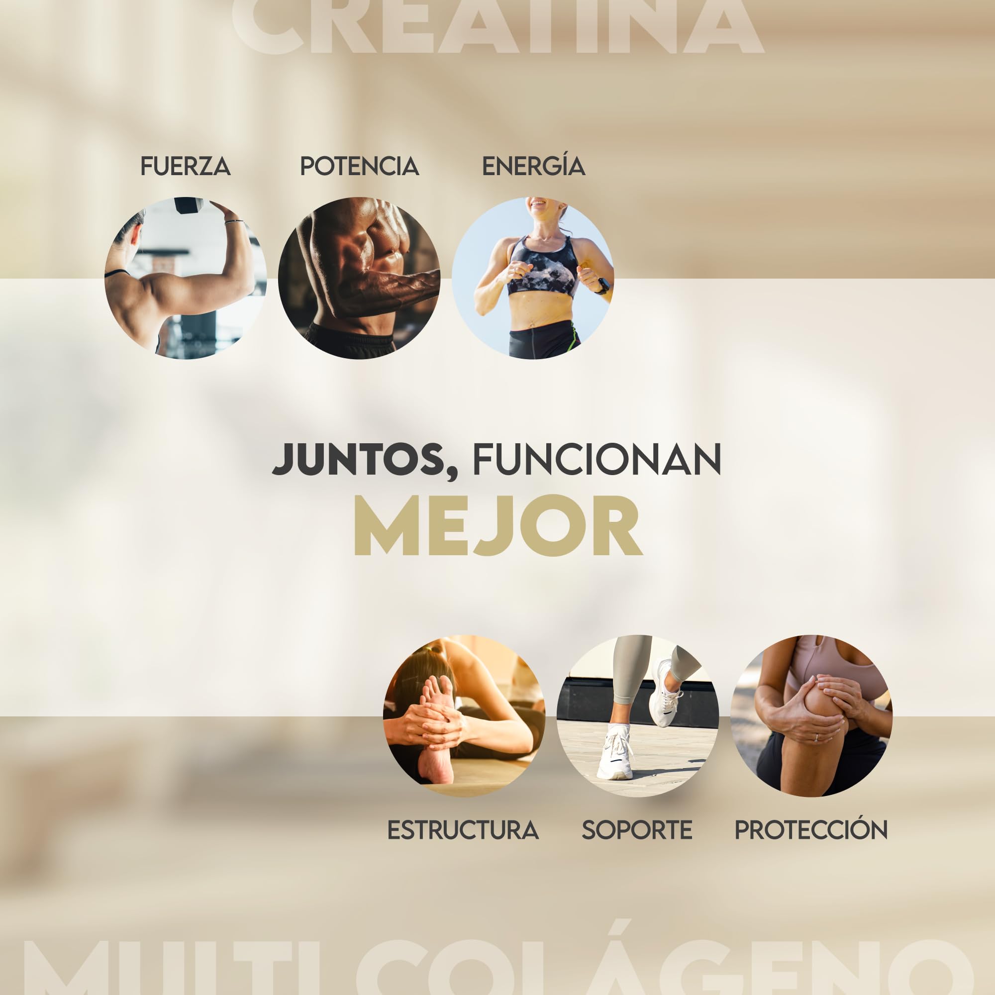N2 Natural Nutrition. Creatina Monohidratada + Multi Colágeno Hidrolizado con Vitamina C en polvo (70 Dosis) 3000mg Creatina + Colágeno I,II,III,V y X–Sin Sabor–Soporte Muscular, Articulaciones, Piel