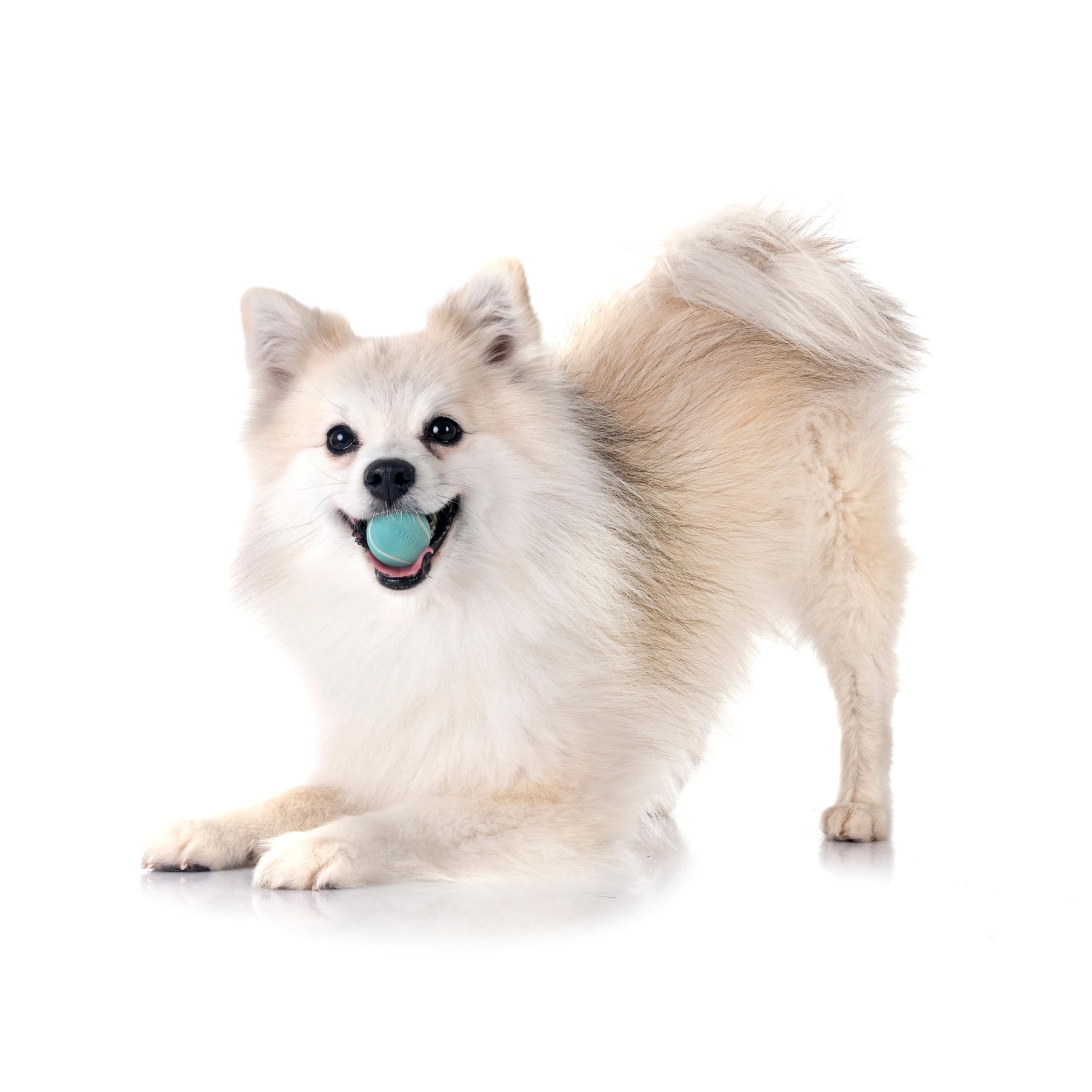 Playology Jouets pour chien | Balle couineuse à mâcher – Balle flottante rebondissante durable pour chiens, lot de 3 | Petit jouet parfumé au beurre d'arachide – Facile à nettoyer et fabriqué à partir