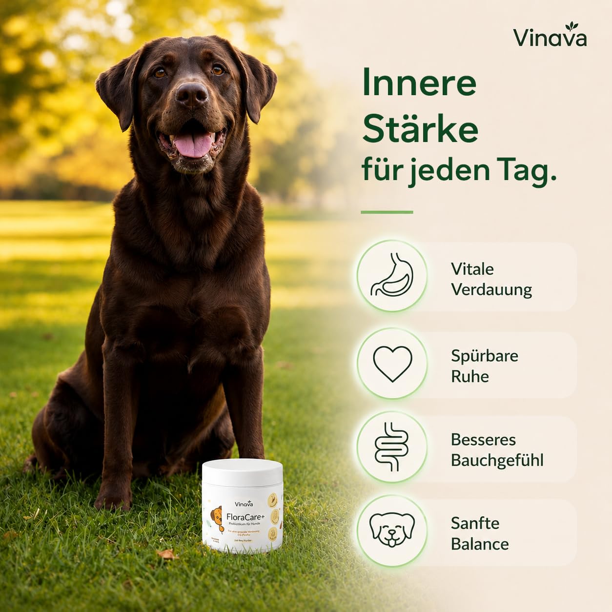 FloraCare+ Probiotika Hund – Darmkur bei Durchfall, Blähungen & Sodbrennen | Darmflora aufbauen & Magen-Darm stärken | Präbiotika + Probiotika für Hunde | Magenschutz & Darmwohl | 60 Stück