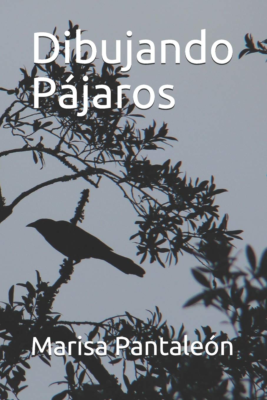 Dibujando Pájaros