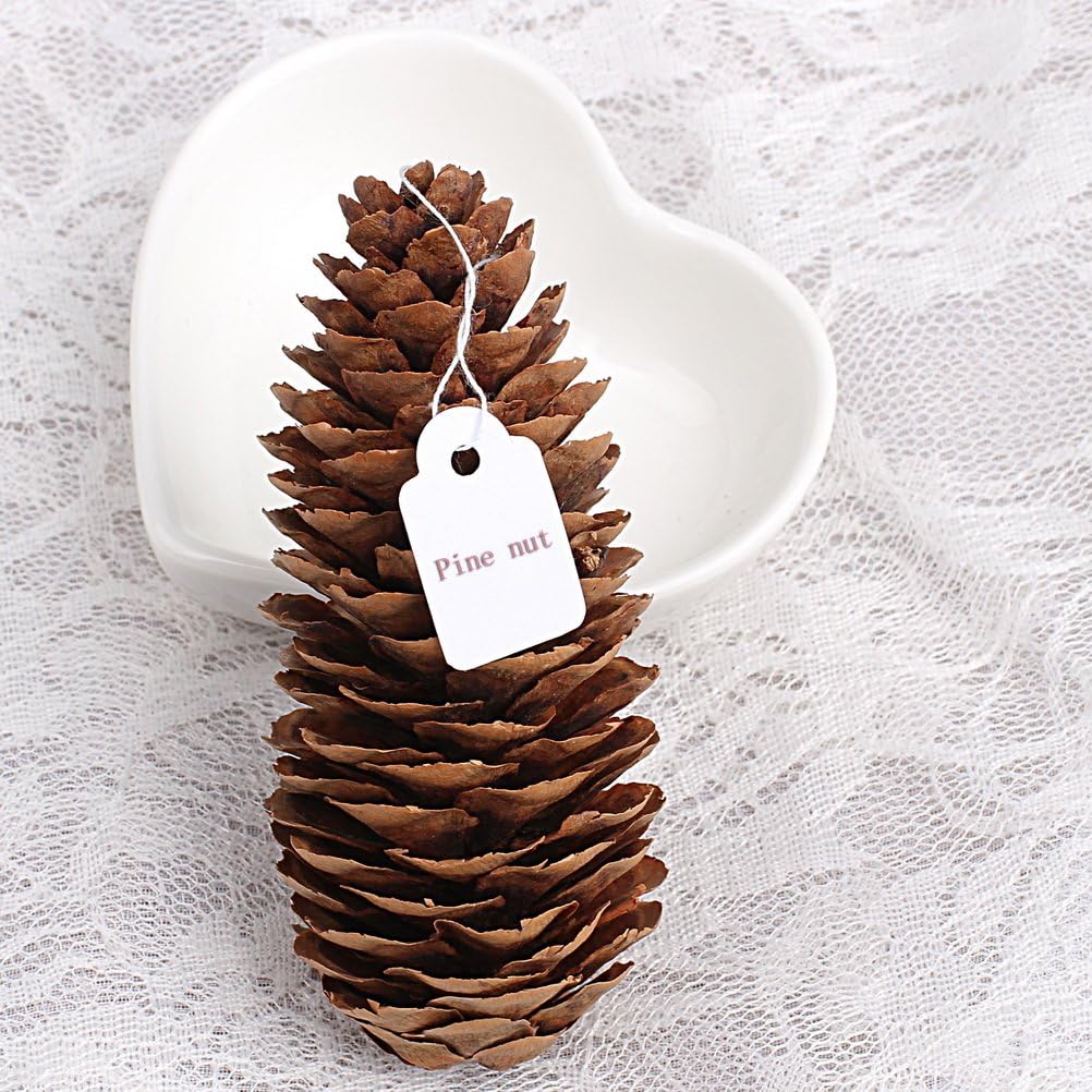 Hugesavings 500 Pieces Jewelry Price Tags, Marking Tags Clothing Display Tag Paper Price Labels with White Hanging String, 23 x 14mm : Office Products