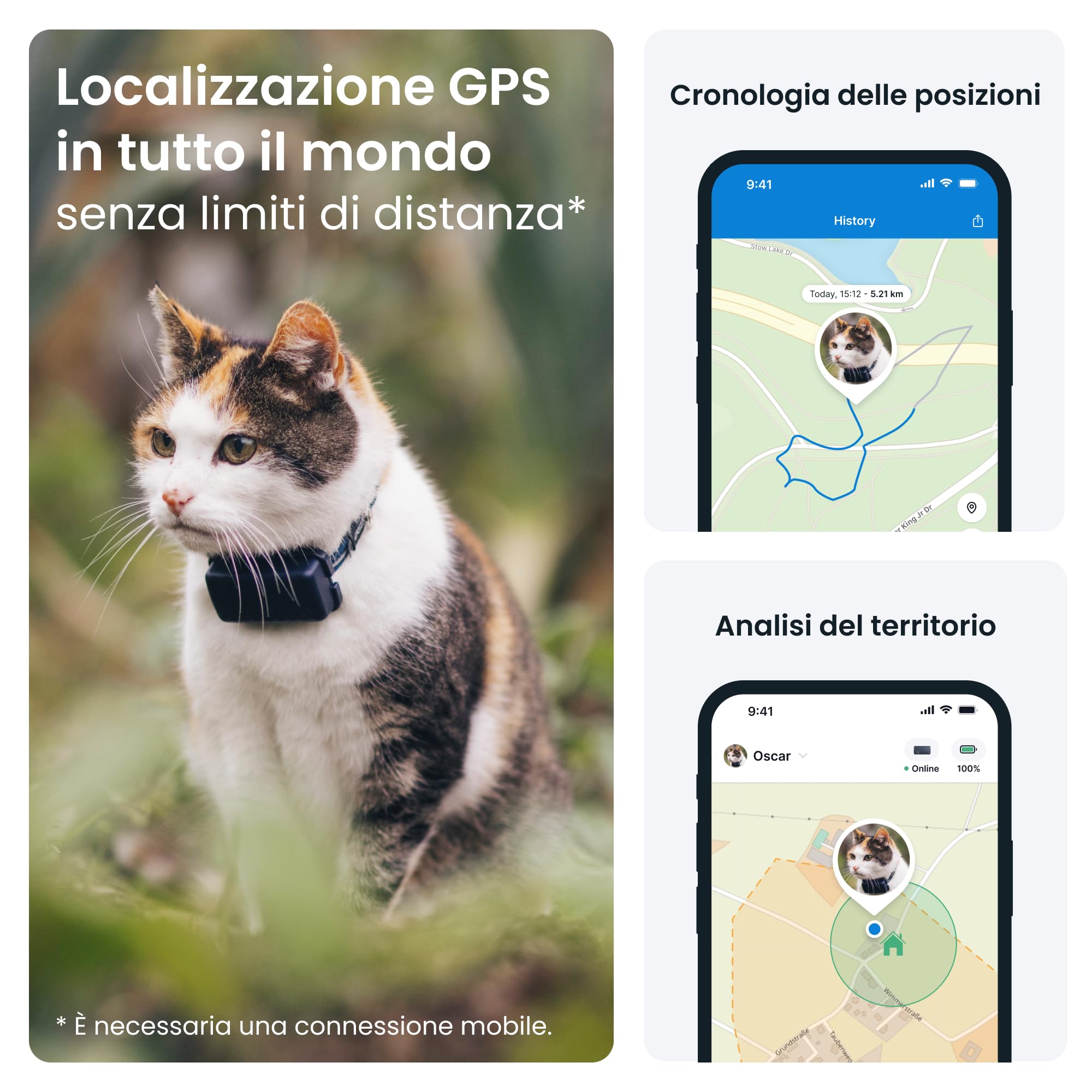 Tractive - GPS gatto modello Mini | N. 1 sul mercato | Localizzazione in tempo reale | Cronologia delle posizioni | Avvisi di salute | Monitoraggio dell'attività | Collare incluso