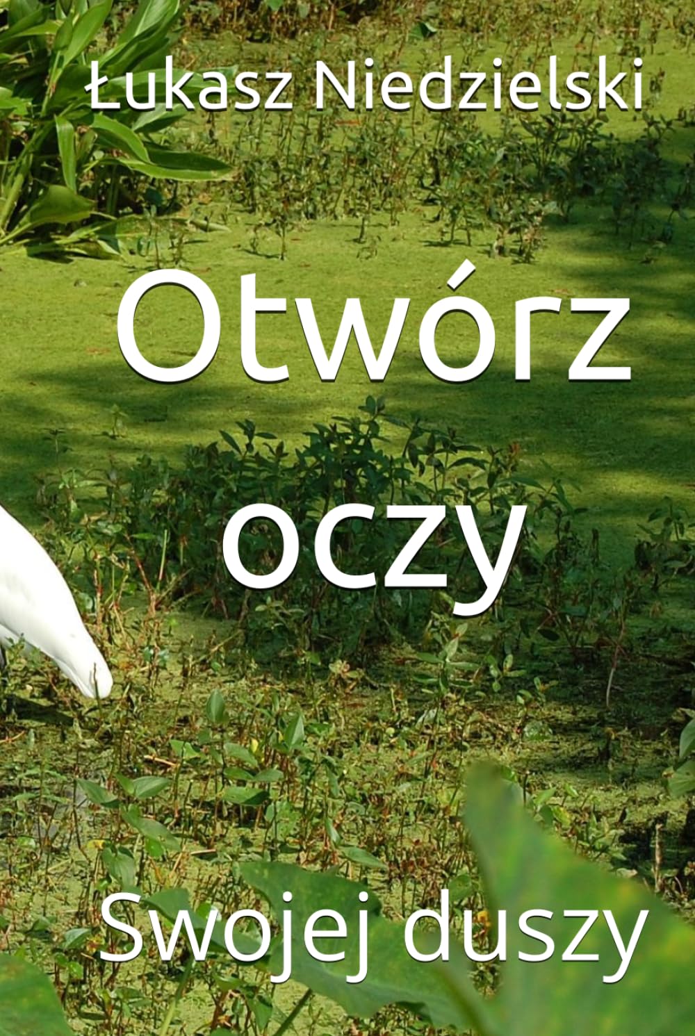 Otwórz oczy: Swojej duszy (Duchowość)