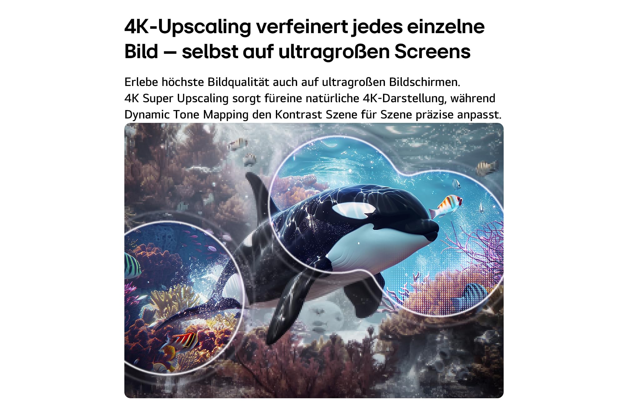 LG 55QNED7EB3C TV 55 Zoll (139 cm) 4K QNED Mini LED AI TV (α7 Gen9 4K AI Prozessor, webOS 26, 60Hz (VRR bis zu 60Hz)) [Modelljahr 2026]