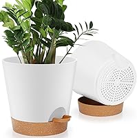Vista 14 de 7 piezas Macetas con Orificios de Drenaje y Platillos, Maceteros de Interior, Juego de 7 (7.5, 7, 6.5, 6, 5.5, 4.5, 3.5 Pulgadas), Blanco