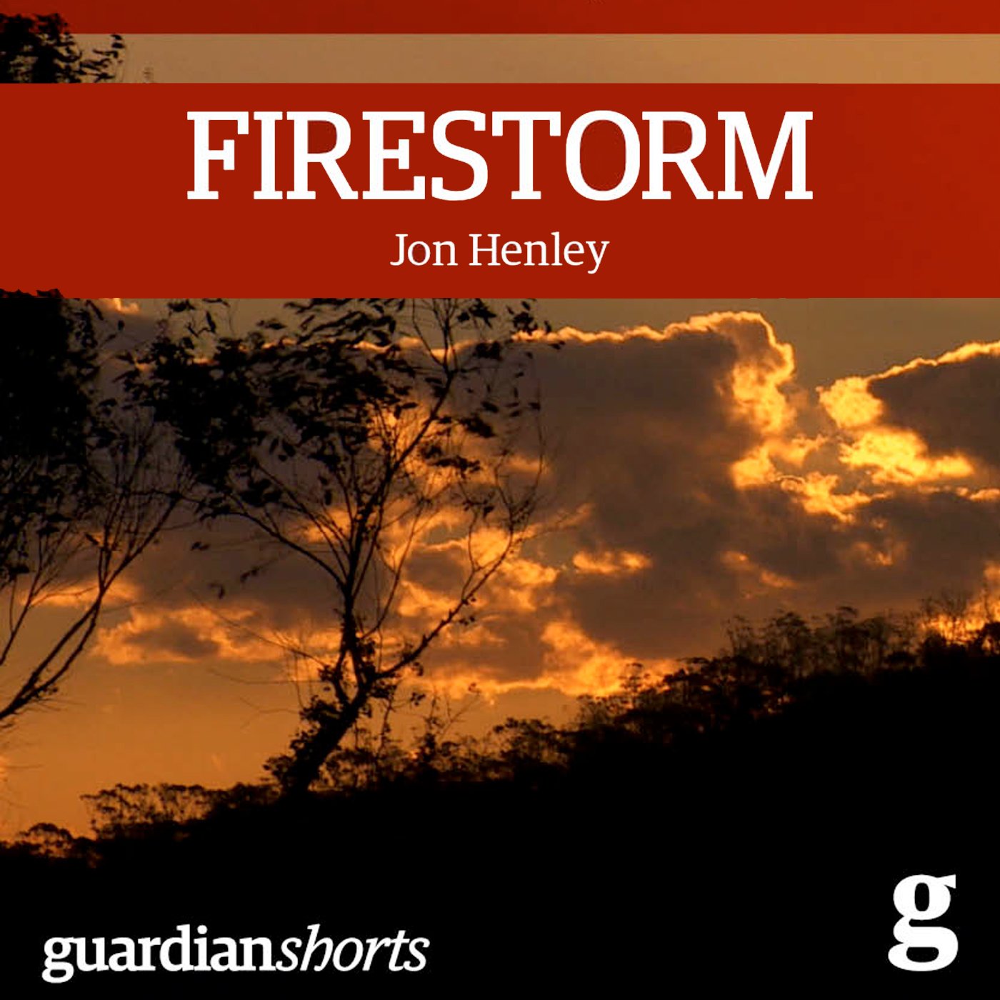 Cover art for Firestorm