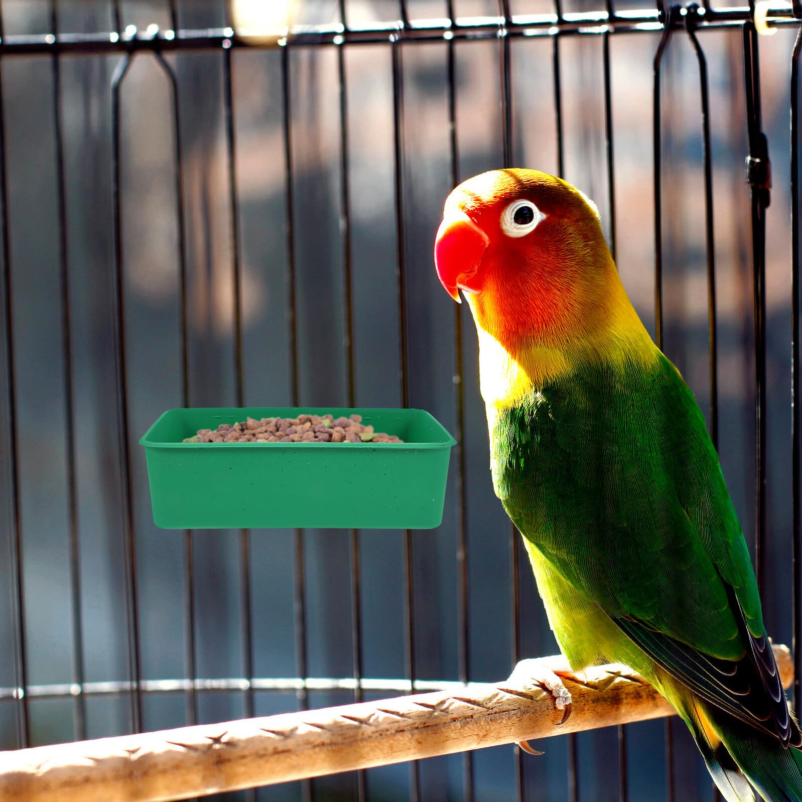 KOMBIUDA 5 Pezzi Mangiatoie Anti-spreco per Uccelli da Gabbia con Gancio Verde Contenitori Resistenti per Alimentazione Parrocchetti e Cocorite Facili da Installare e Antispruzzo