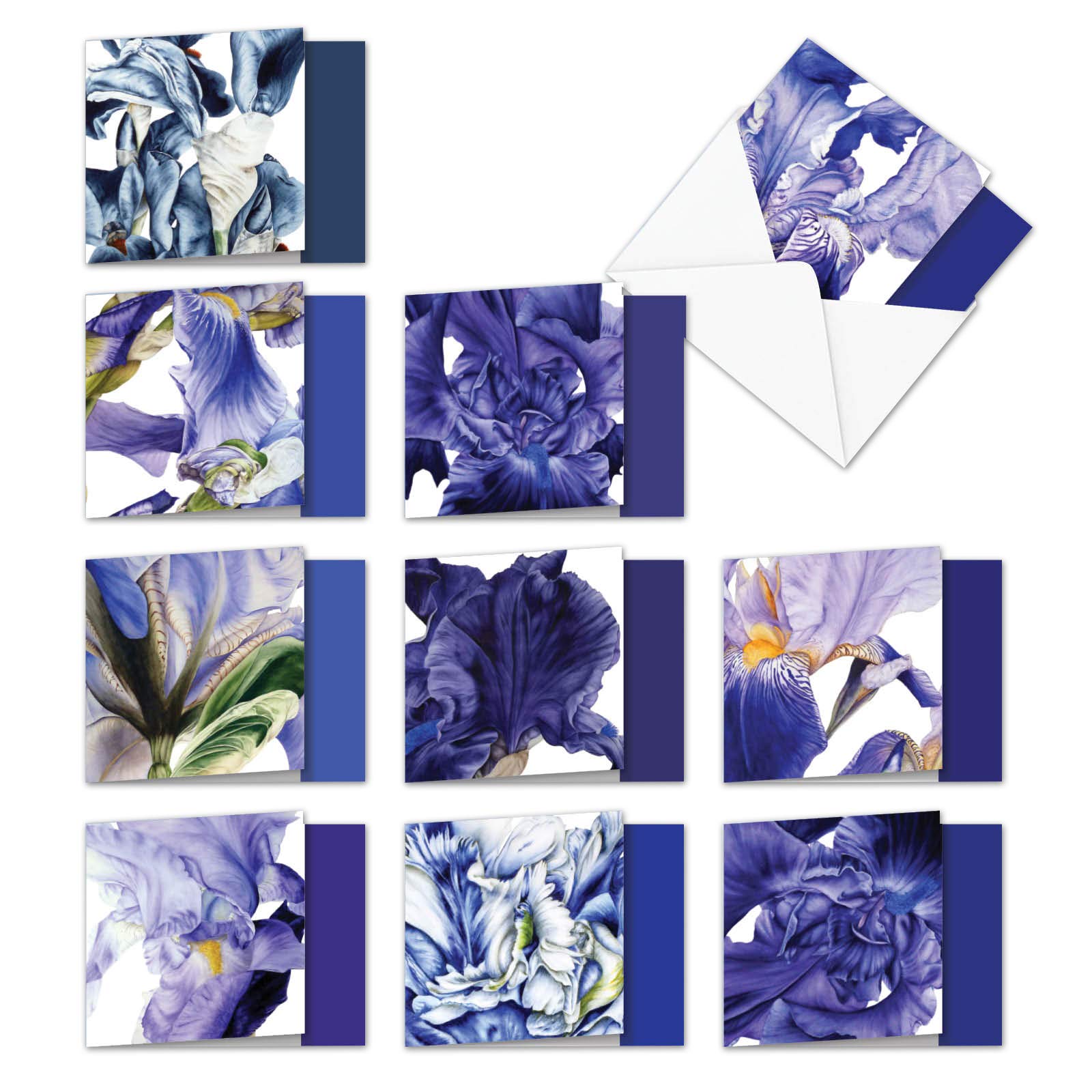 The Best Card Company10 Thank You Card Assortment Box Set (4.8 x 6.6 Inch) with Envelopes (10 Designs, 1 Each) Iridescent Iris MQ4949TYG-B1x10