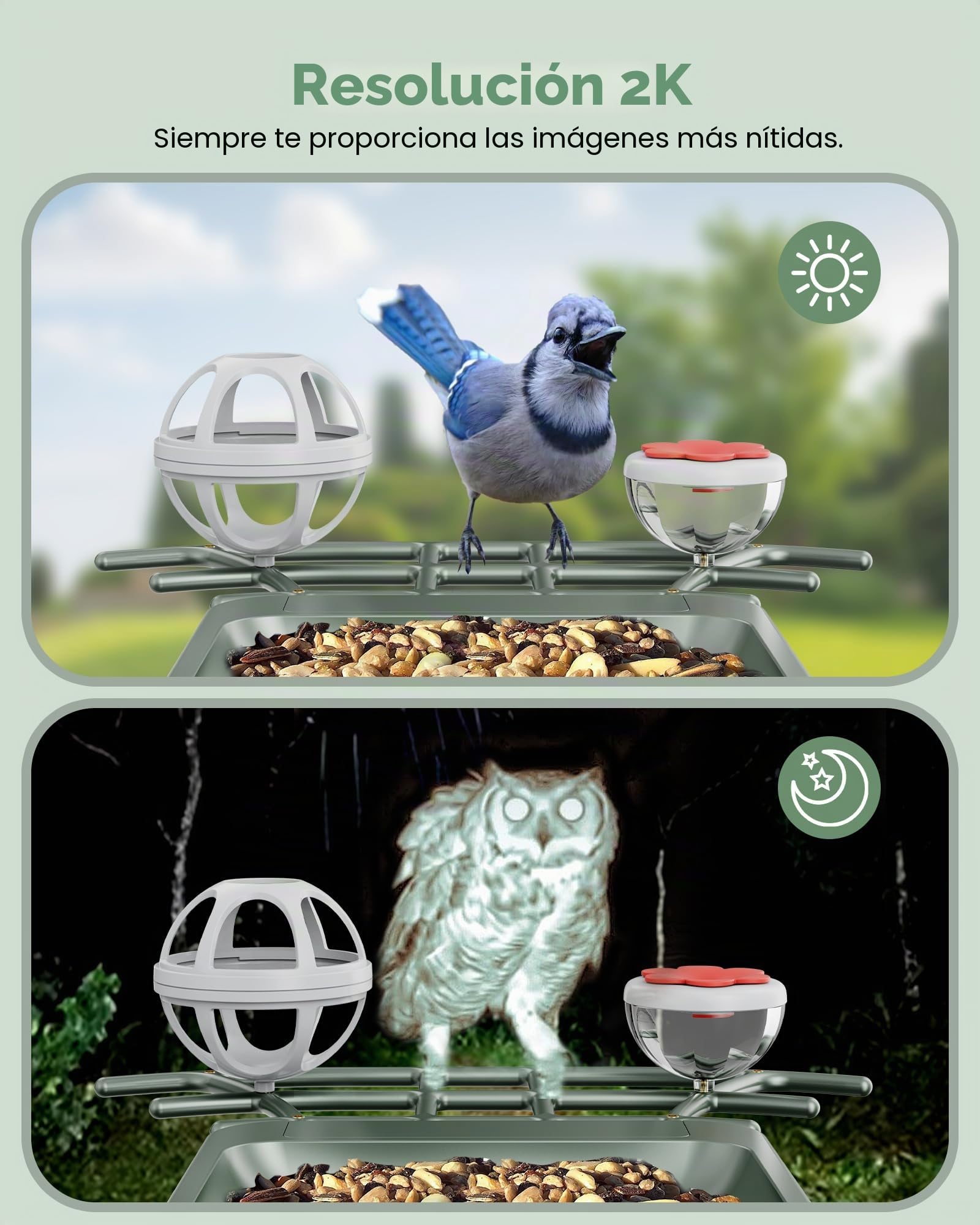Comedero para pájaros con cámara solar al aire libre: cámara inteligente para jardín exterior, cámara de video en vivo HD 2K, reconocimiento de IA, ventana visible, captura automática, regalos para