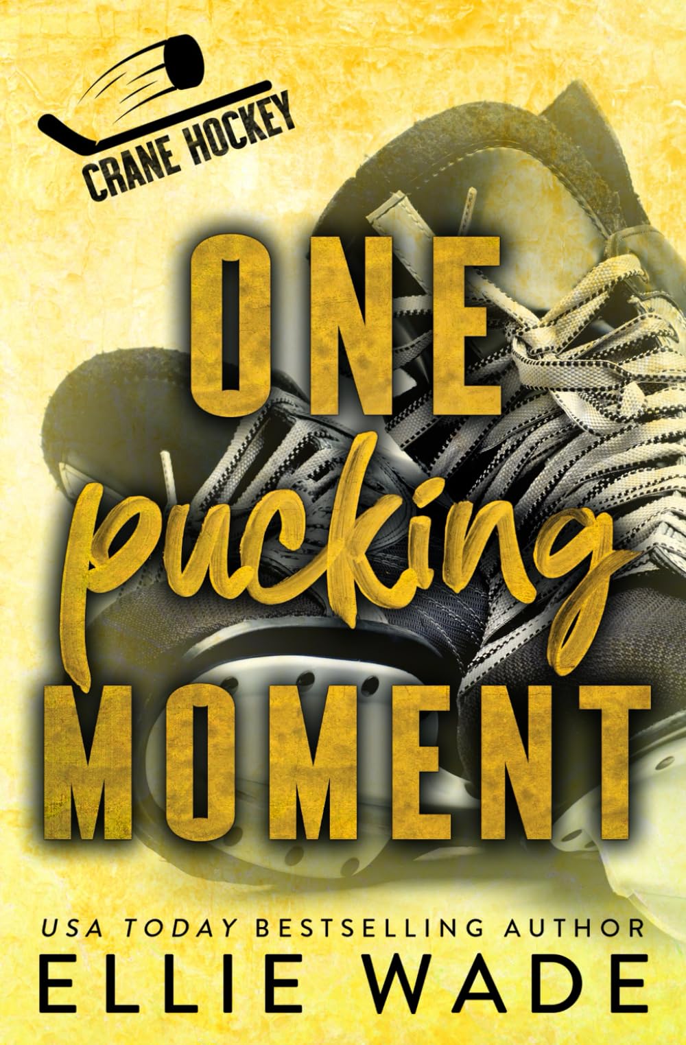 One Pucking Moment: A Forced Proximity, Friends-to-Lovers Hockey Romance (Crane Hockey)