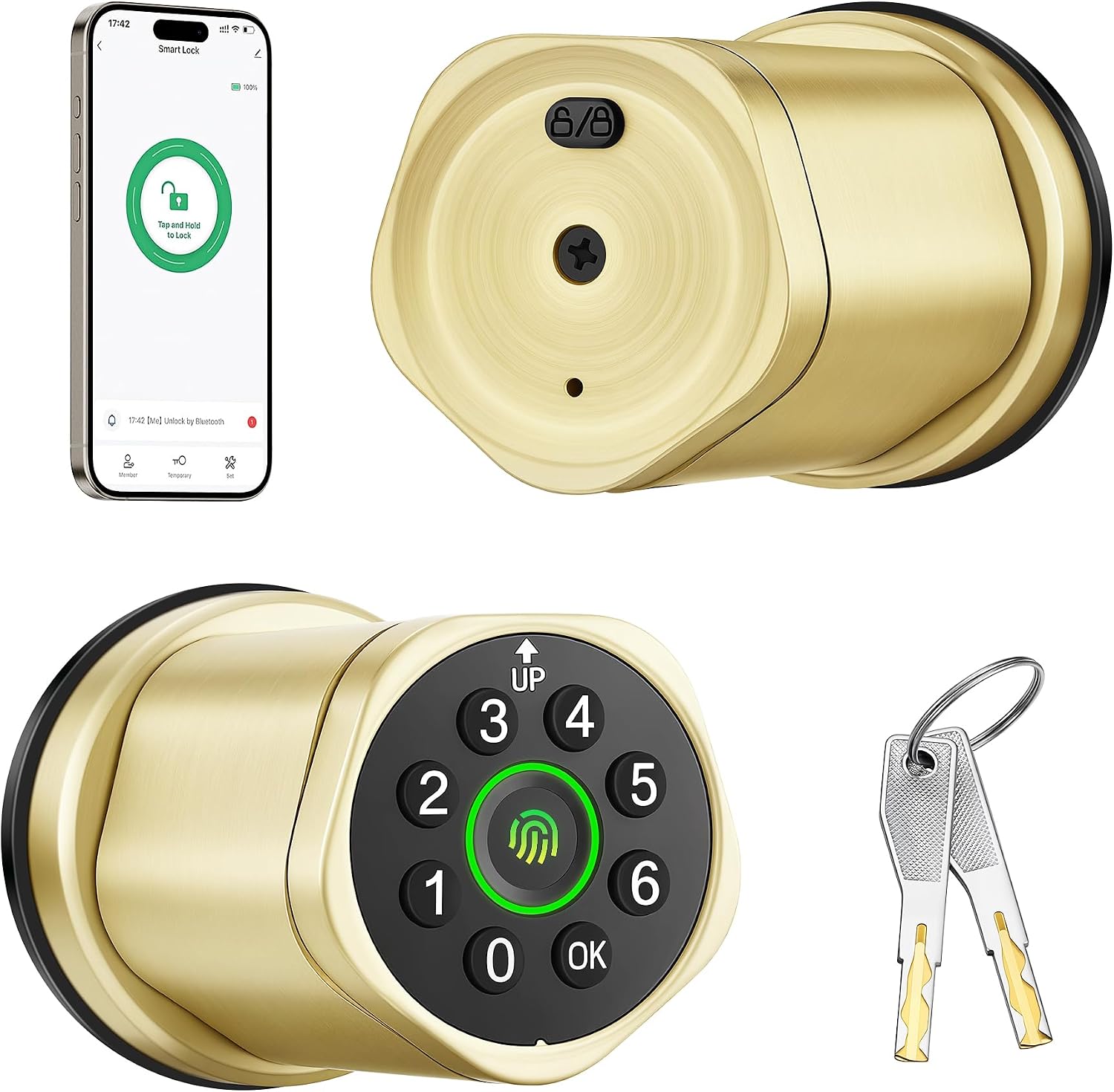Leydebong Smart Fingerprint Door Lock, Keypad Door Knob with Auto Lock | Keyless Entry Electronic Lock with Code, App Control, Backup Keys for Interior, Exterior & Bedroom Door - Easy Installation