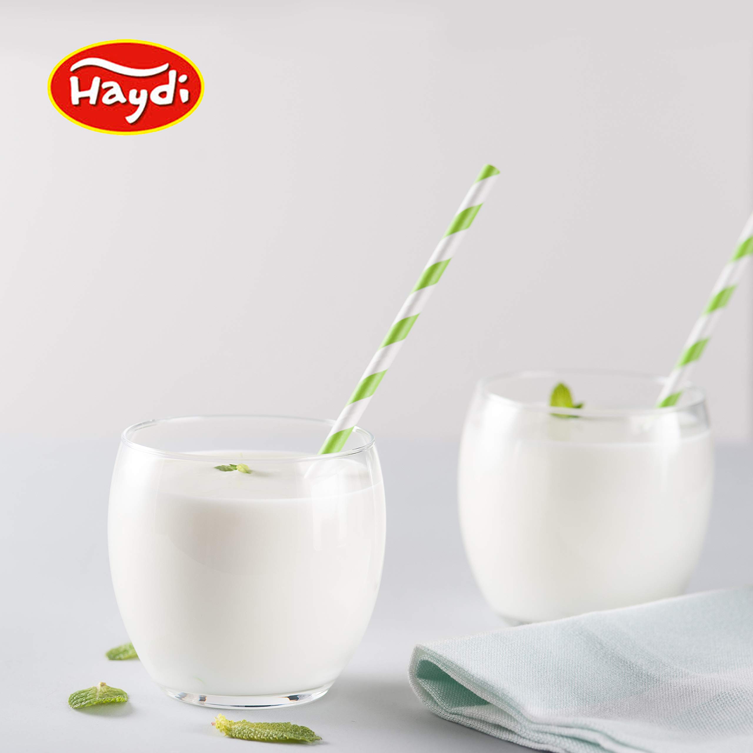 Ayran Joghurt Getränk 500ml 24er Pack High Protein Low Sugar Lower Carb ohne Zuckerzusatz