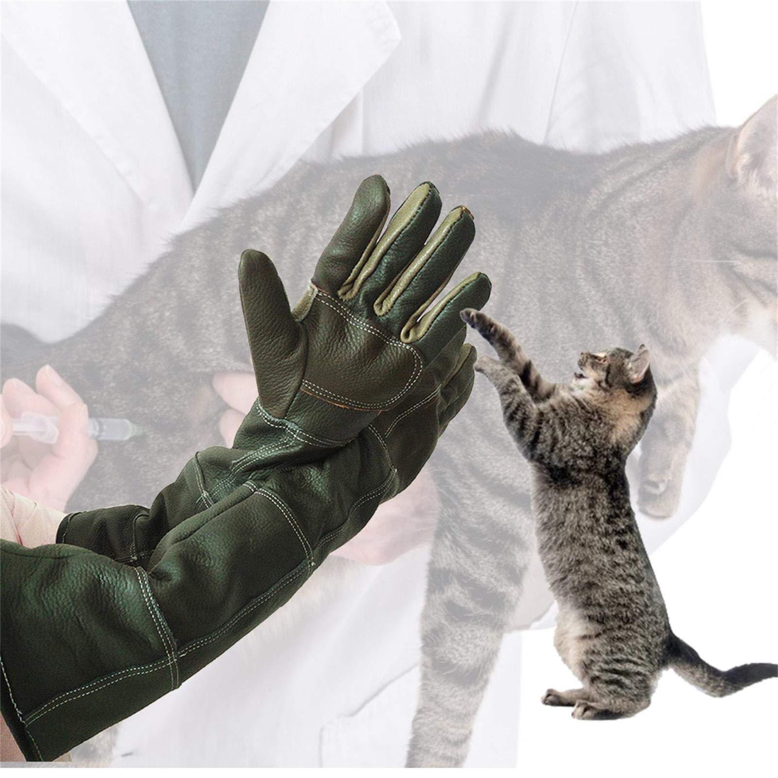 Bissfeste Handschuhe Anti-Biss Tierhandschuhe Fr Katze Und Hund Stichfeste  Handschuhe Schutzhandschuhe Handschuhe Handschuhe Garten Anti  Bite-Behandlungshandschuhe : Amazon.de: Baumarkt