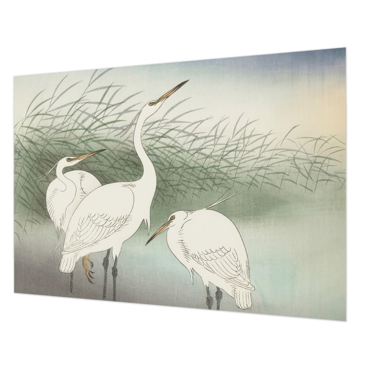 Papier Peint Intissé Salon et Chambre Tulup Décoration Hérons 208x146 cm