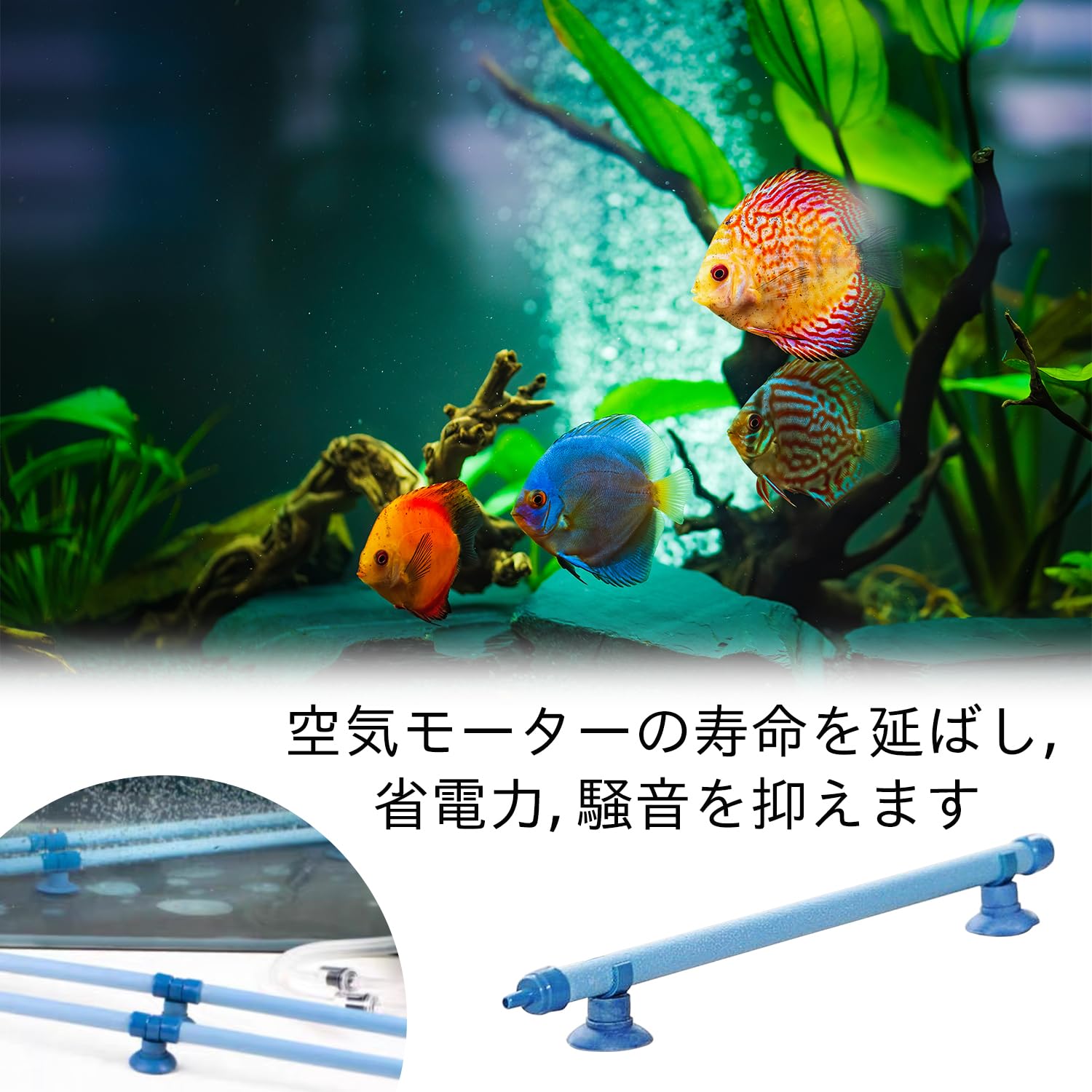 Amazon | 水槽 バブル 壁 魚 タンク エアストーン バブル 水族館バブル