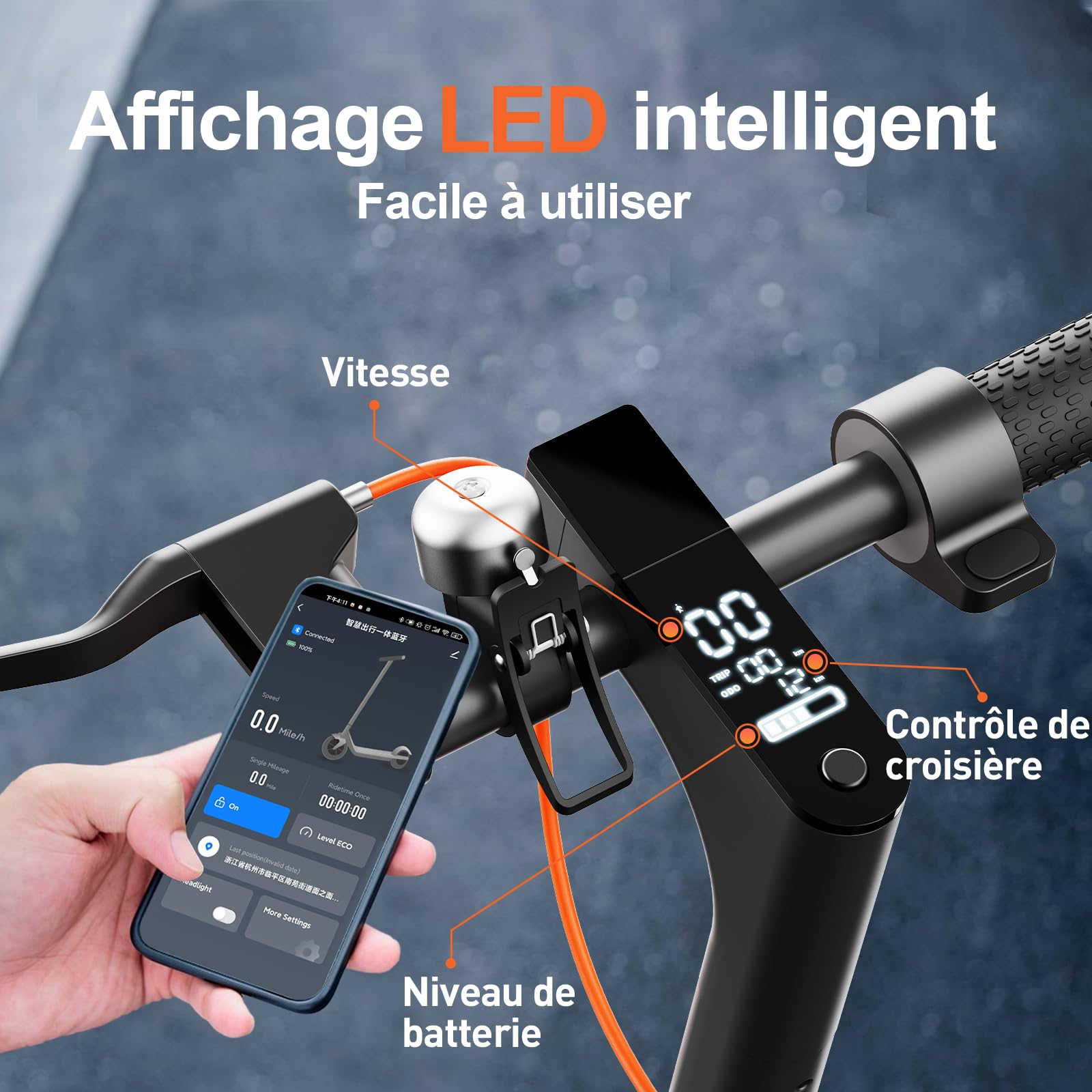 Trottinette Electrique Adulte Ultra Legere, 25KM/H Batterie 36V 7.8Ah avec Double Freinage Moteur 650W pour 35 km d'Autonomie