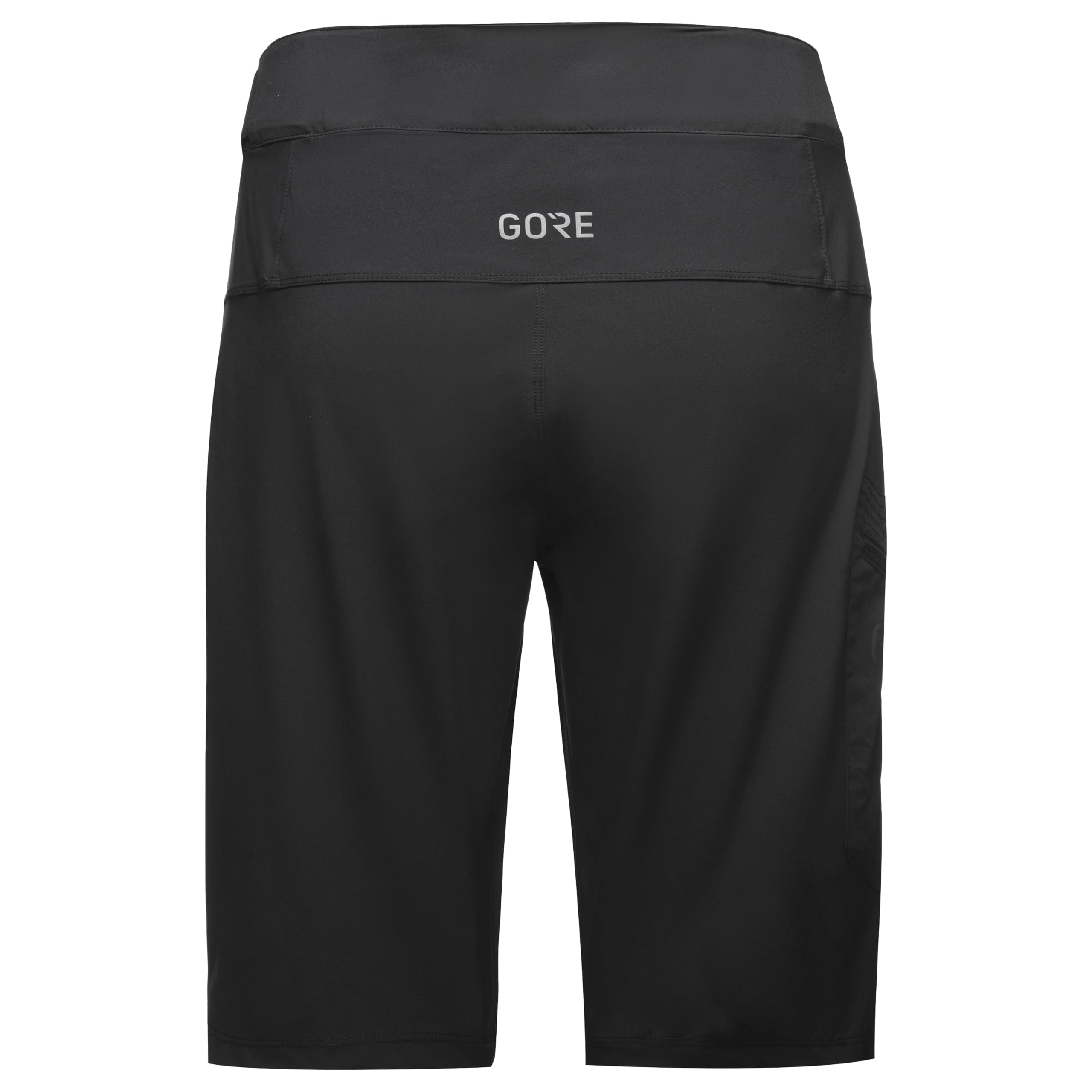 GORE WEAR Passion Shorts