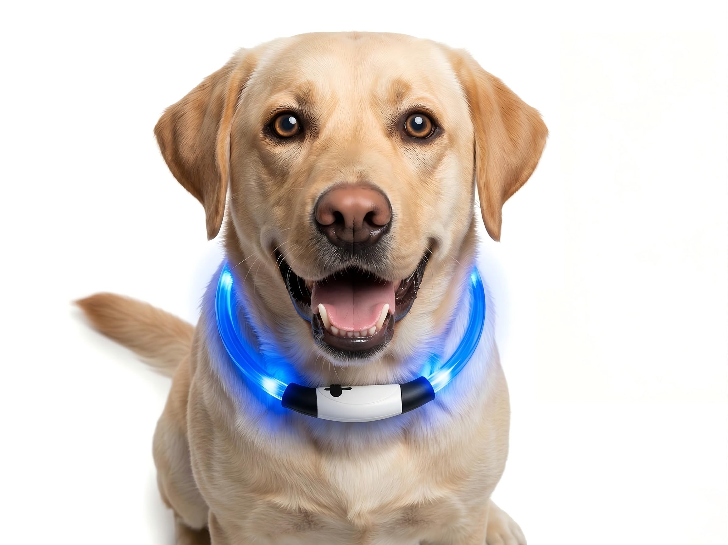 Gimars Collar de Perro LED Recargable, Collar Luminoso de PVC para Perros, 70 cm, tamaño Universal Recortable, Impermeable, 3 Modos de luz con USB-C, Azul