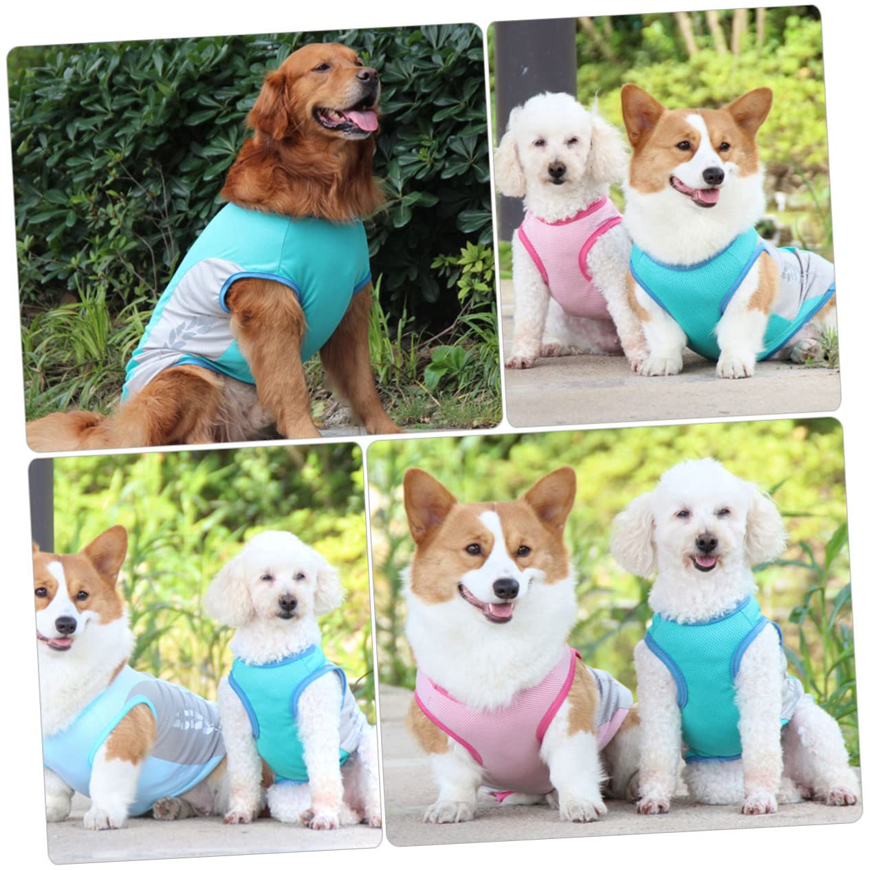 Sosoport 3stücke Kühlende Hundeweste Für Sommer Atmungsaktive Hautfreundliche Kühljacke Für Hunde Elegantes Design Für Kleine Und Mittelgroße Hunde Für Outdoor-aktivitäten Und