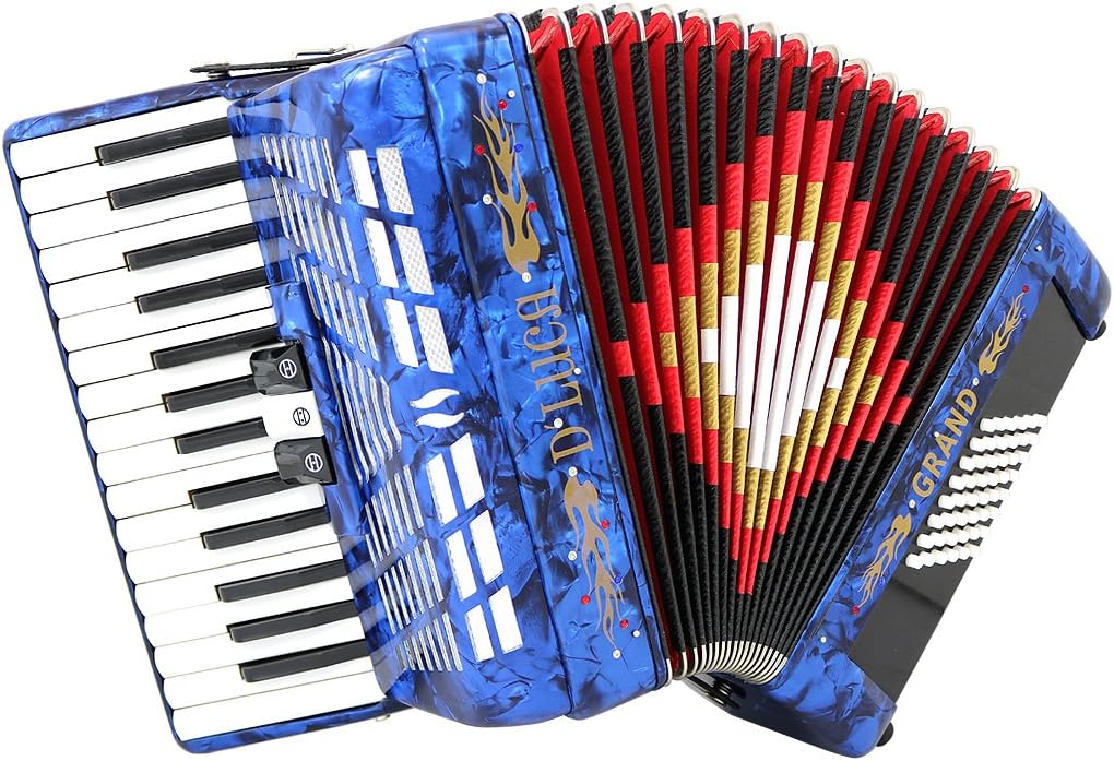 D'Luca Grand Piano Accordion 3 Switches 30 Keys 48 Bass with Case and Straps, Blue (D3048-BL)