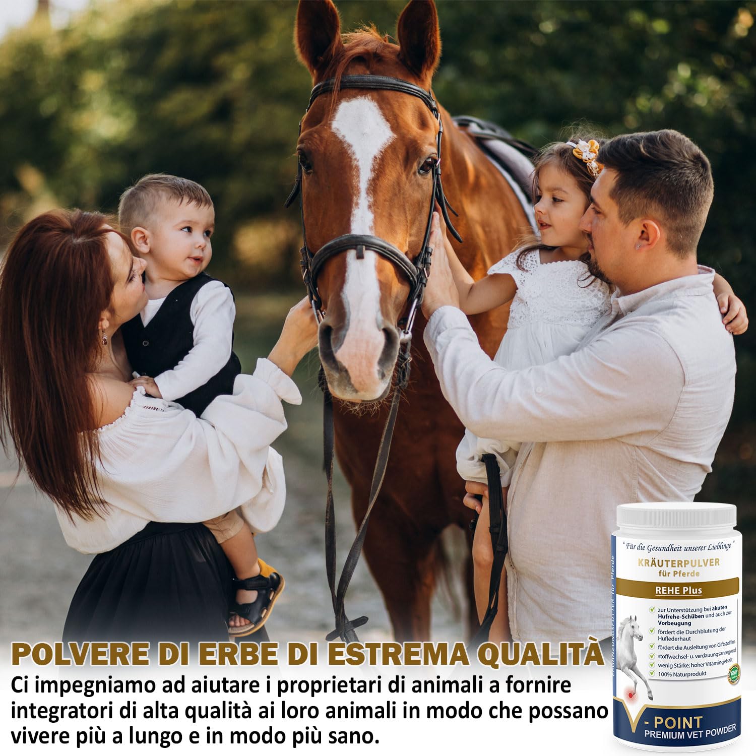V-POINT REHE Plus per la prevenzione degli attacchi di laminite acuta favorisce la circolazione sanguigna nel corium dello zoccolo - con polvere di rosa canina cardo mariano spirulina (450g)