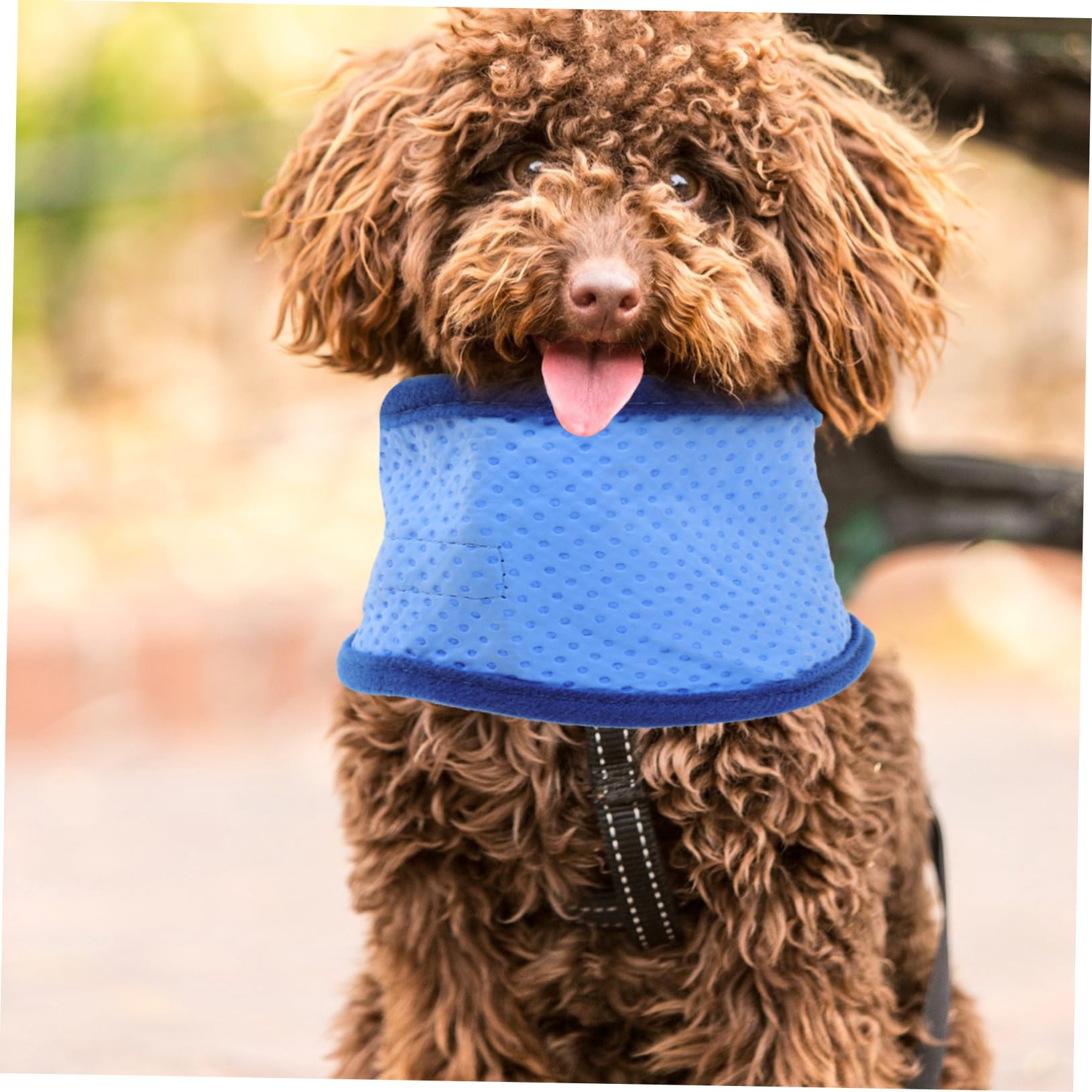 BESPORTBLE 6stücke Hundekühlbandana Für Sommer Kühlende Halsbinde Für EIS-halskragen Hitzelinderung -zubehör