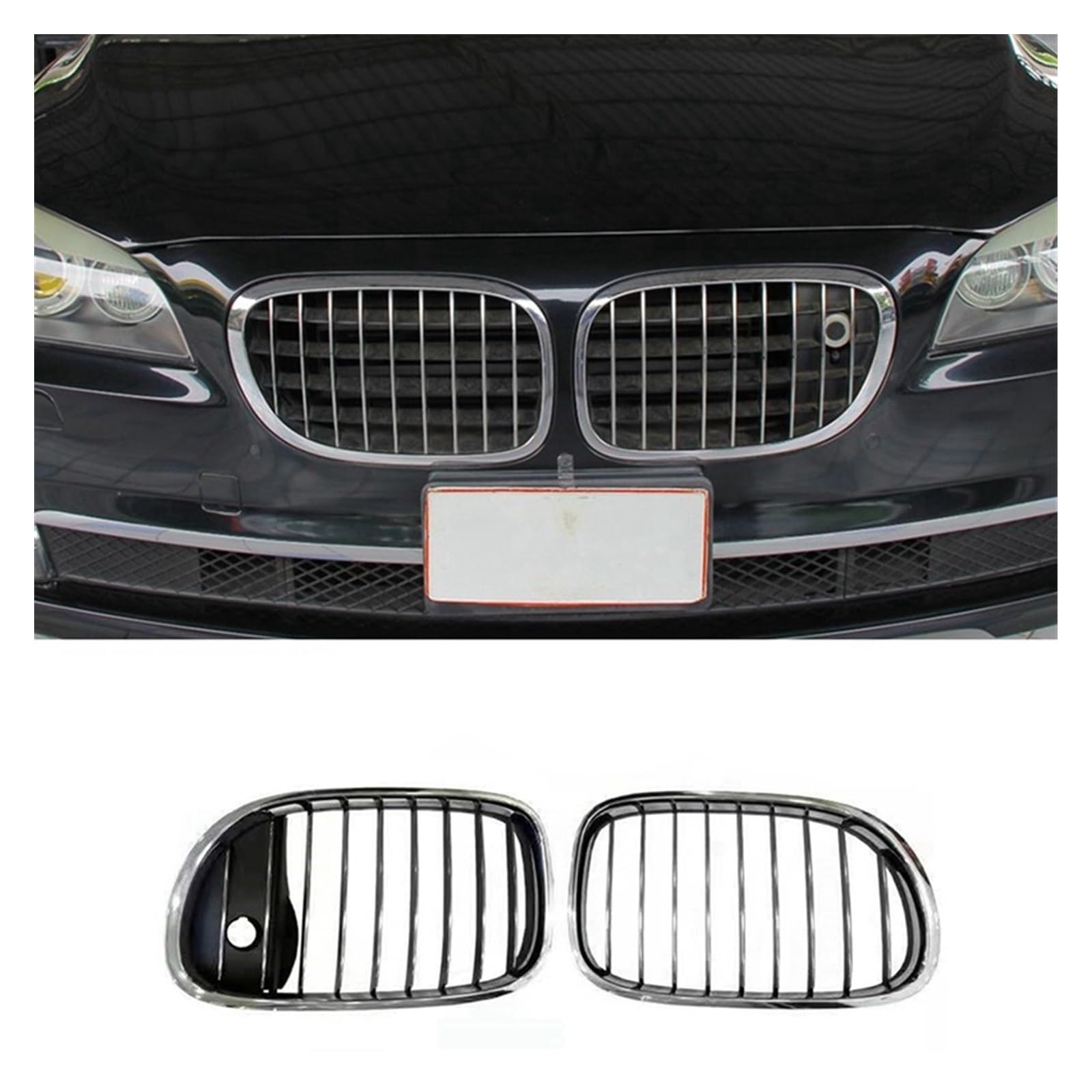 Amazon.com: 1Pair Front Radiator Kidney Grille 51137295299 
