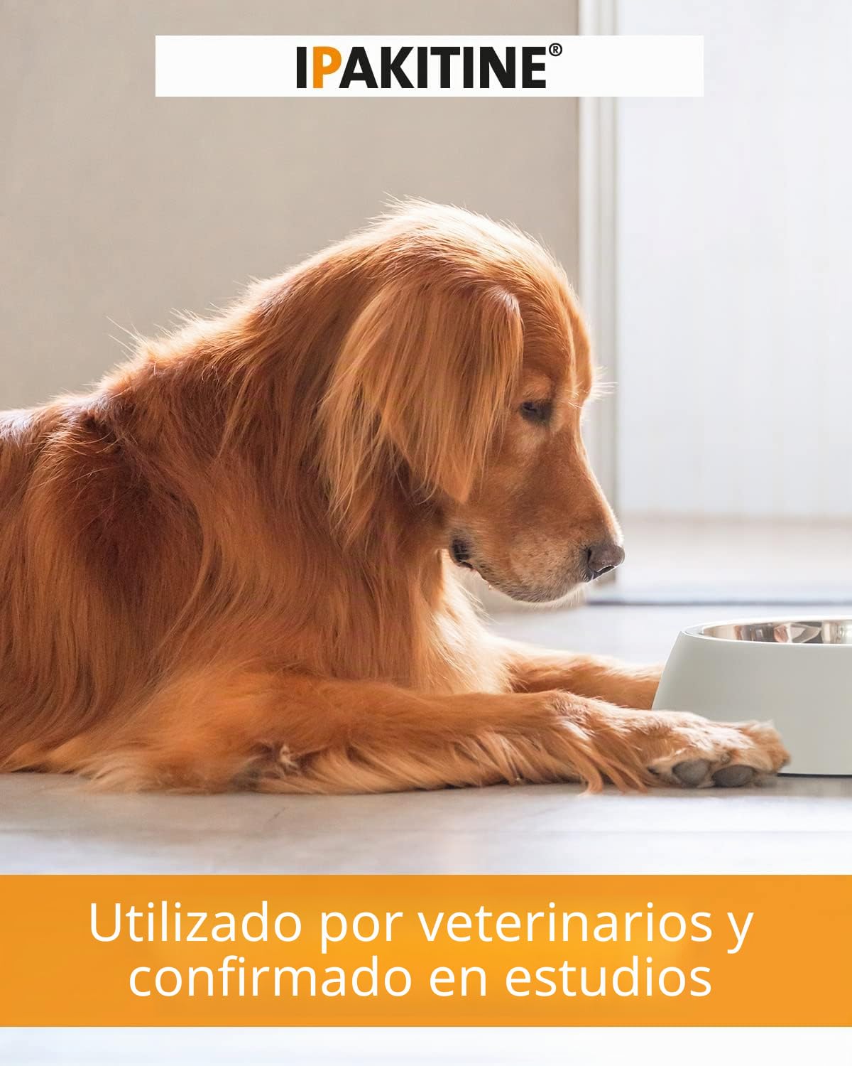 Vetoquinol Ipakitine | 60 g | Suplemento alimenticio para Gatos y Perros | para el Apoyo de los riñones | En Caso de insuficiencia renal
