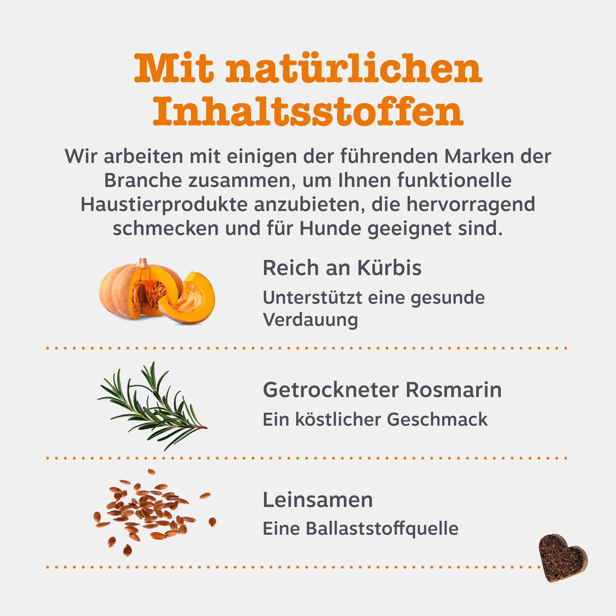Zesty Paws Probiotika für Hunde – Unterstützt Darmflora, Verdauung & gegen Mundgeruch – Mit Pre-, Pro- & Postbiotika, Kürbis & Leinsamen – Tägliche Anwendung – 90 Kauleckerlis