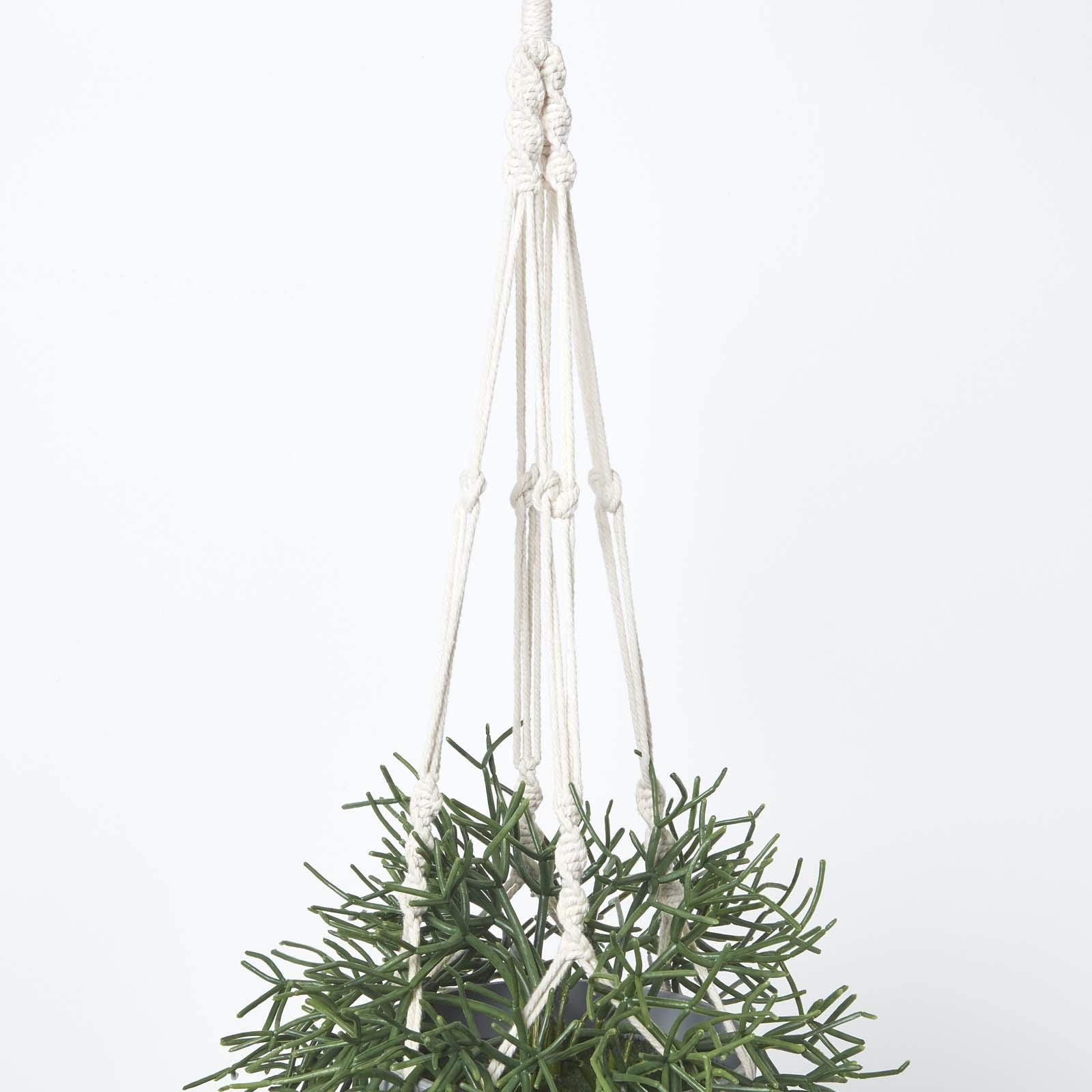 Homescapes hängende Kunstpflanze im Topf mit Makramee-Blumenampel zum Aufhängen, künstliche Hängepflanze Rhipsalis mit Melamin-Topf, künstliche Pflanze, Korallenkaktus im Pflanzenampel, 116 cm