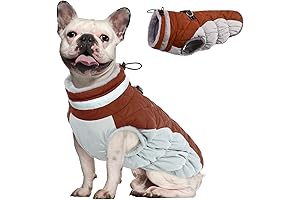 2-In-1 Doggy Royal Furry Jacket