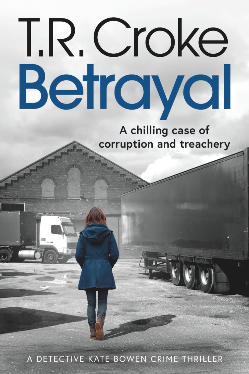 Betrayal: A chilling Irish crime thriller of corruption and treachery (Detective Kate Bowen Crime Thriller Series)
