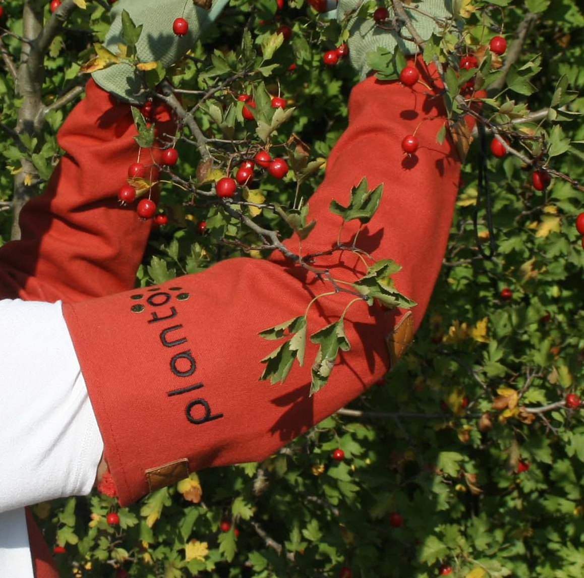 planto Armschützer Armschoner aus Canvas Dornenschutzhandschuhe sicherer Schutz gegen Dornen beim Rosen schneiden