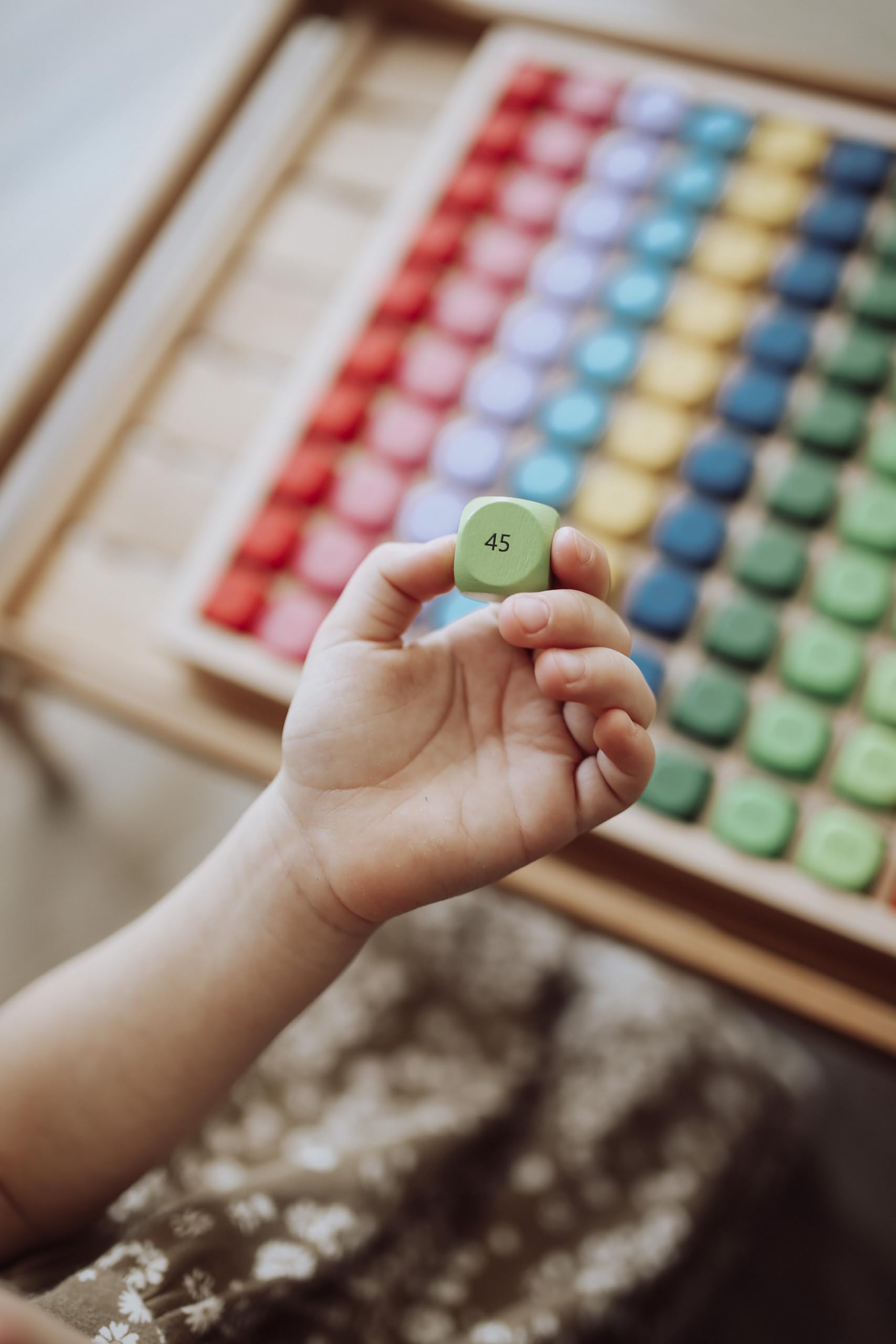 Grande Tabellina Natureich per 1x1 alunni delle elementari/tavola di calcolo in legno/cubi colorati con quesiti/gioco e divertimento per gli esperti di calcoli/imparare facilmente