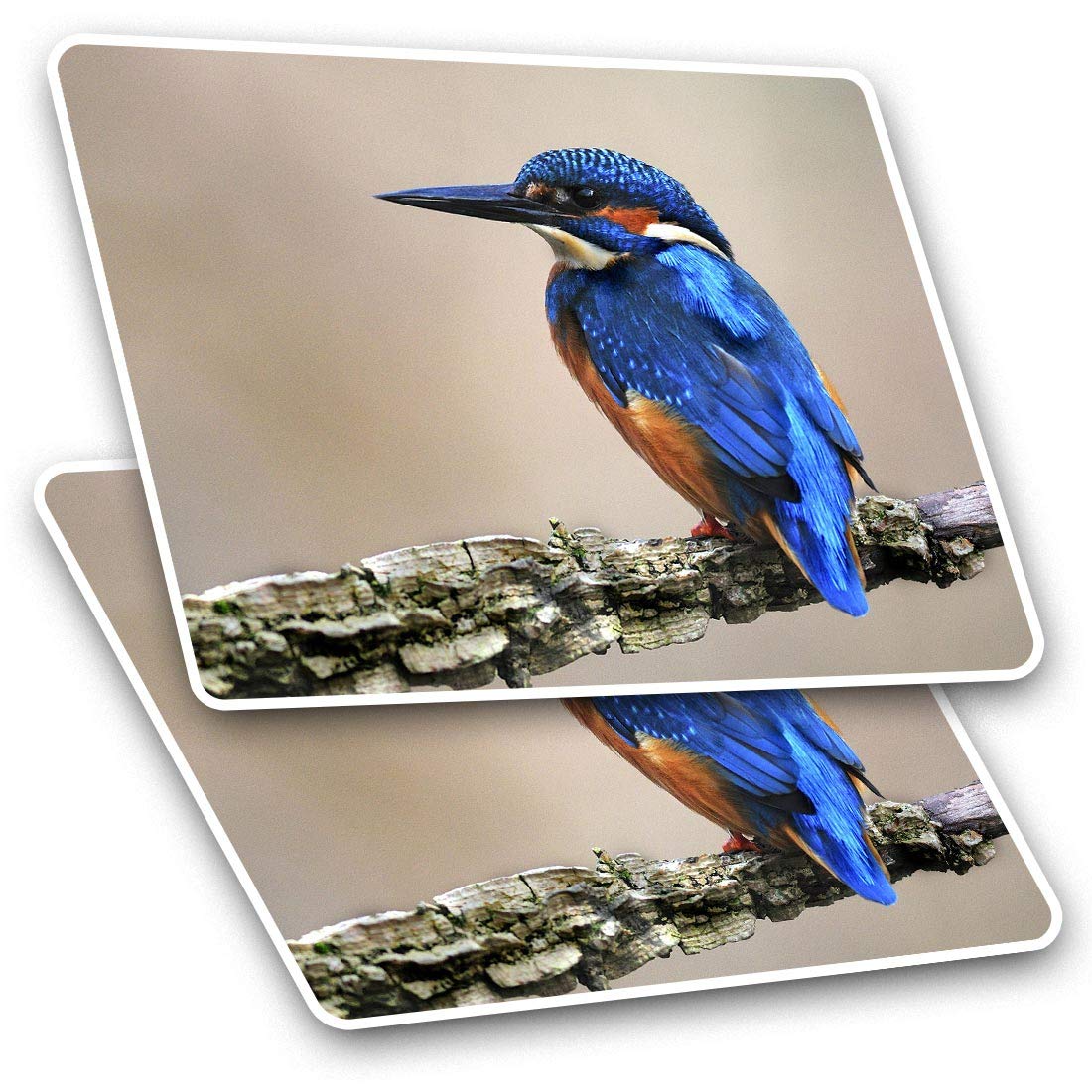 Destination Vinyl Ltd Boys Multi Rectangle Stickers(Set Of 2) 7.5Cm - Wild Blue Kingfisher Bird Fun Decals For Laptops,Tablets,Luggage,Scrap Booking,Fridges, #15795