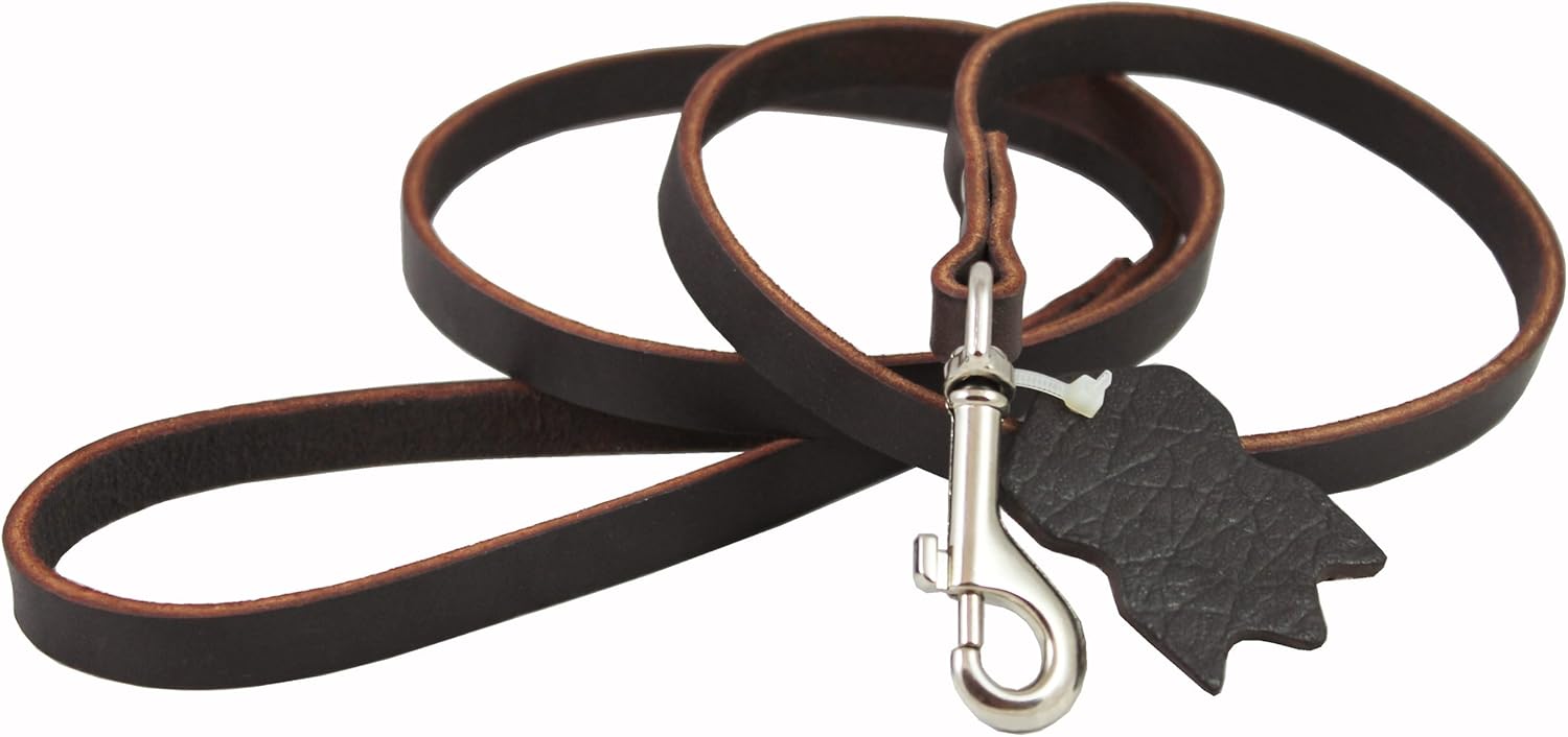 Genuine Leather Classic Dog Leash Brown 1/2" Wide 4 Ft Basset Hound, Collie, Shar-Pei : Pet Leashes : Pet Supplies