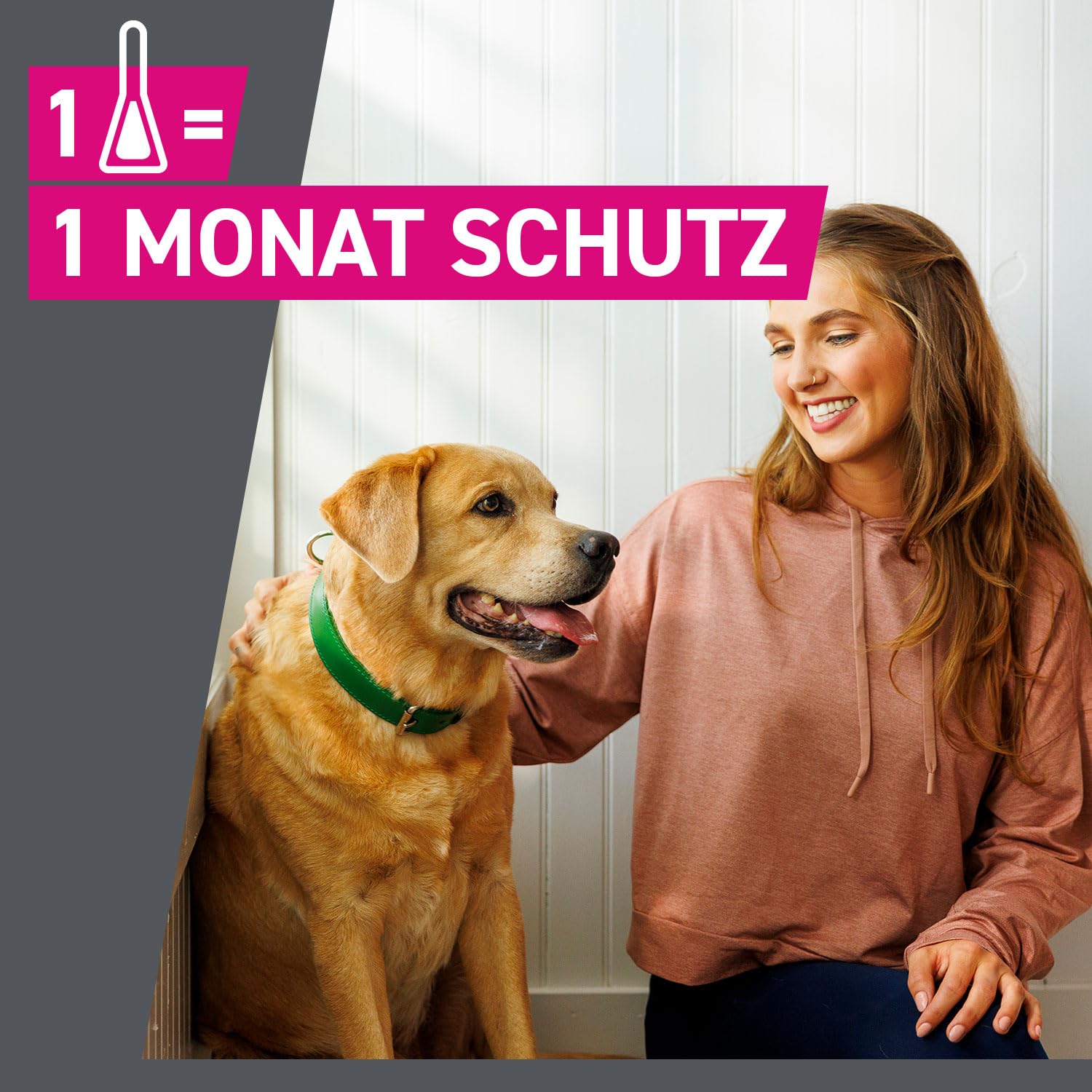 FRONTLINE TRI-ACT Hund XL gegen Zecken, Flöhe & Mücken (40 bis 60 kg) | 6+3 Pipetten (2er Pack) für bis zu 9 Monate Schutz - wasserfest - perfekt auf Reisen - für große Hunde