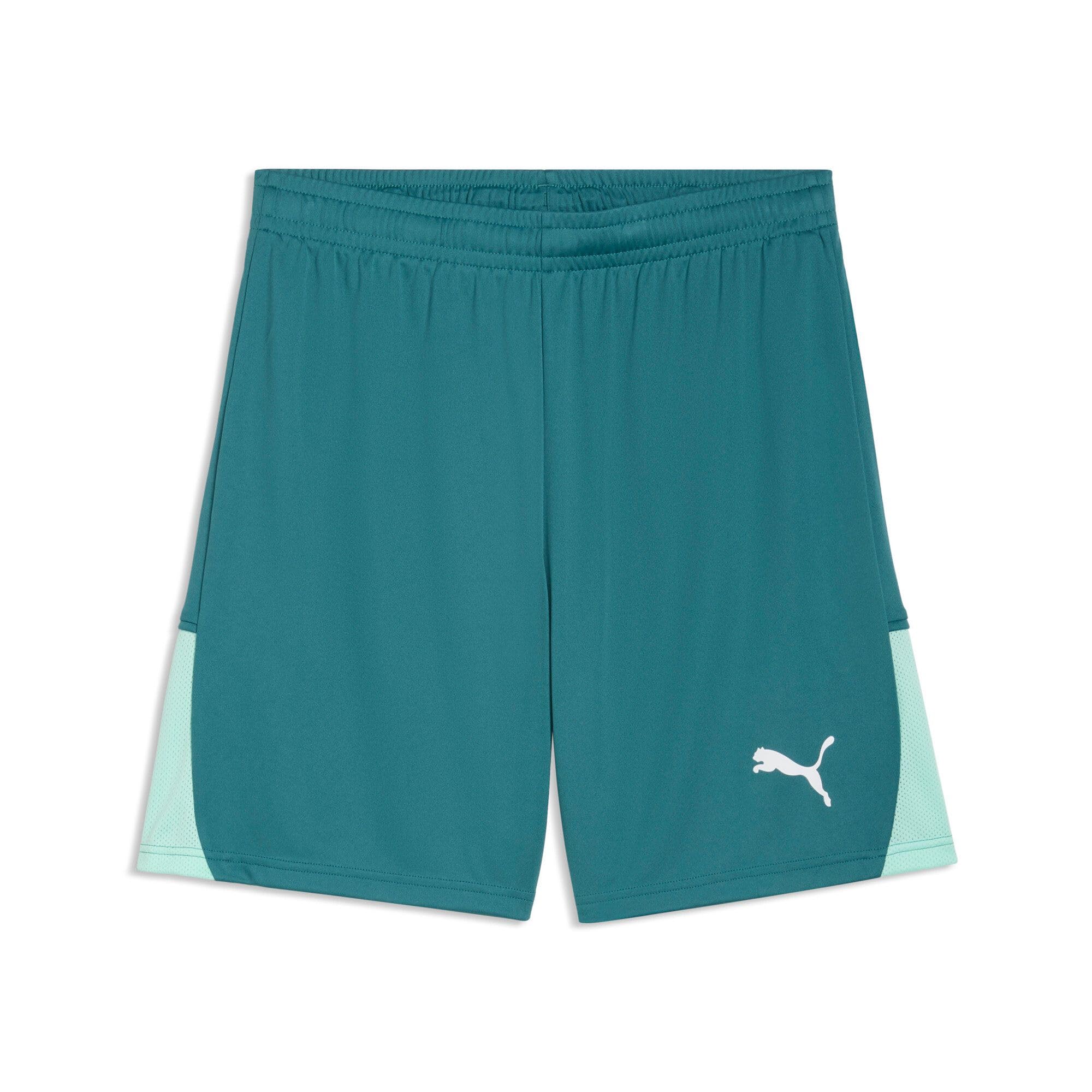 PUMA teamLIGA26 Shorts