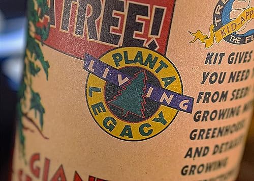 Miniatura 3 de Sequoia gigante  Kit de cultivo de semillas de árbol  The Jonsteen Company