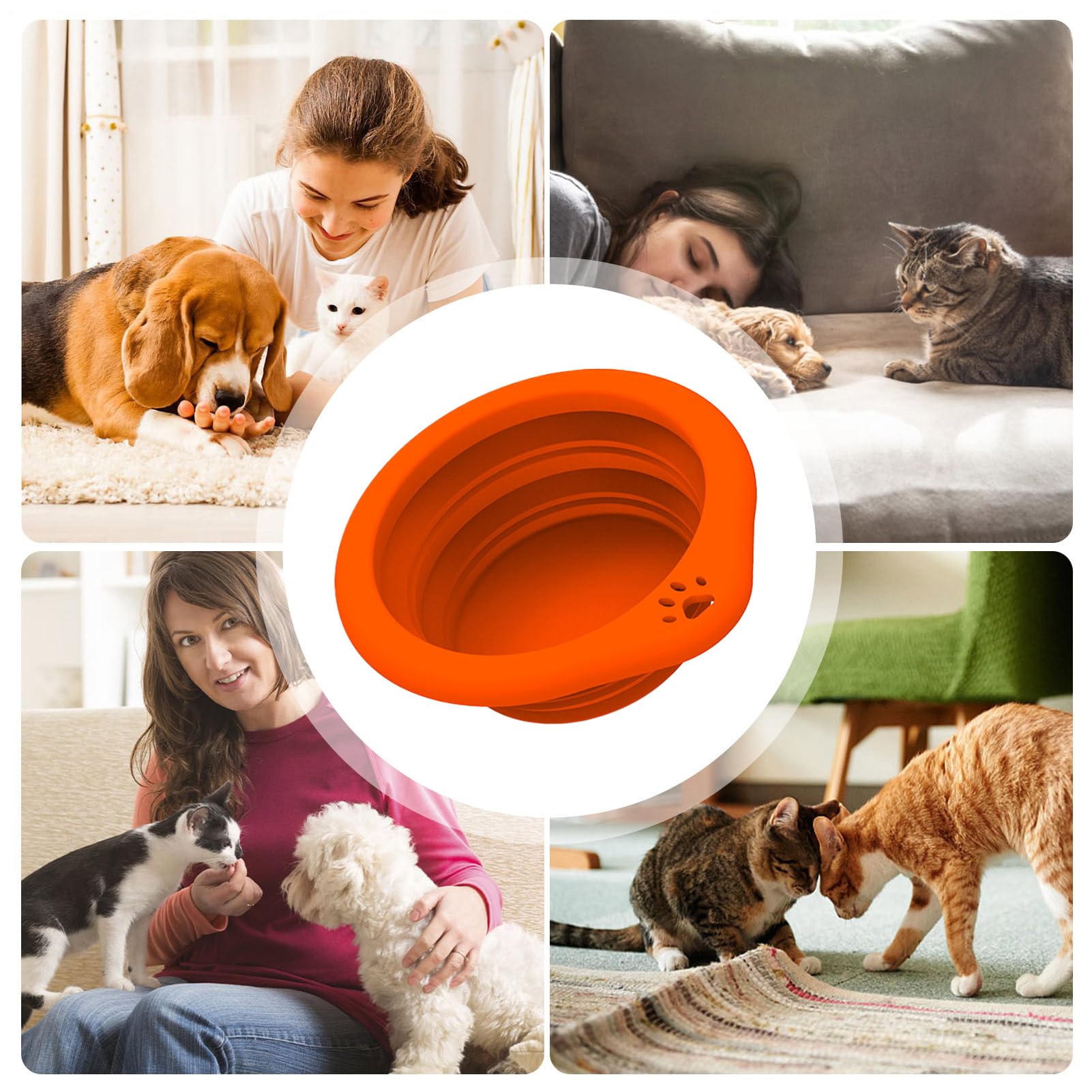 Gamelle d'eau Pliable pour Animaux Gamelle Portable pour Animaux De