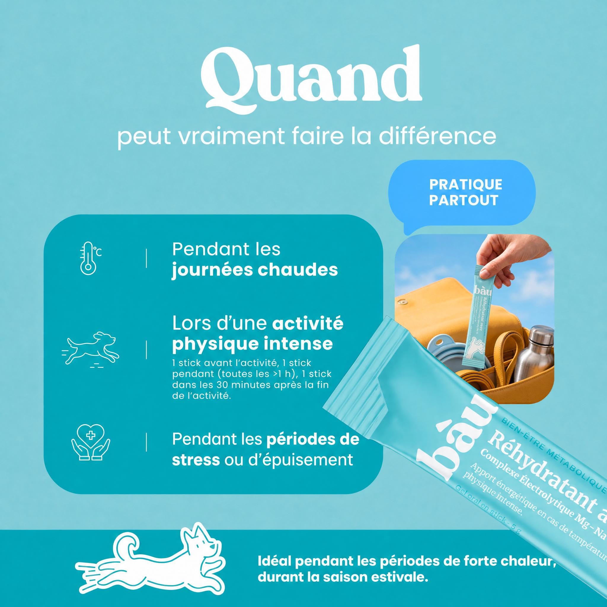BAU Réhydratant Électrolytique pour Chiens Sportifs – Idéal par Temps Chaud – Gel Énergétique avec Magnésium, Sodium et Potassium – Soutien Pendant l’Activité – Sticks Unidose