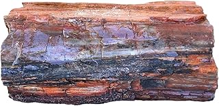 33 Pound 13.4 Ounce 14 Inch Arizona Rainbow Petrified Wood SR17/61925