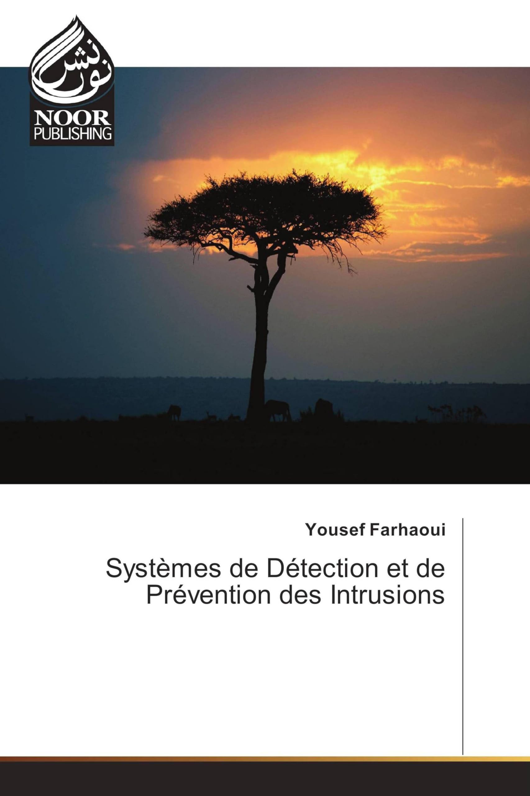 Systèmes de Détection et de Prévention des Intrusions