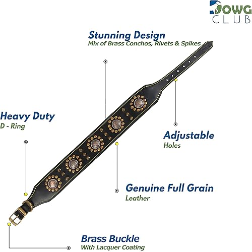 Miniatura 4 de DowgClub Collar de perro de cuero genuino de la serie Punk  Grano completo, grado de sillín resistente, lujoso, elegante, cómodo, mejor para razas