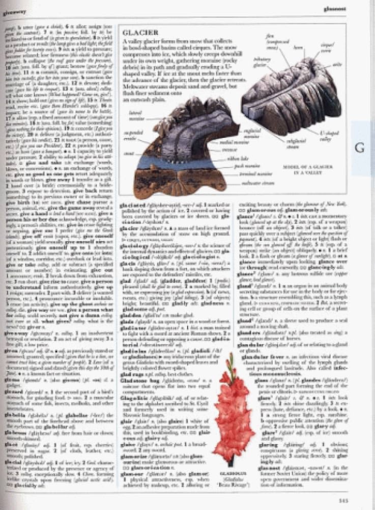 DK Illustrated Oxford Dictionary: Abate, Frank R