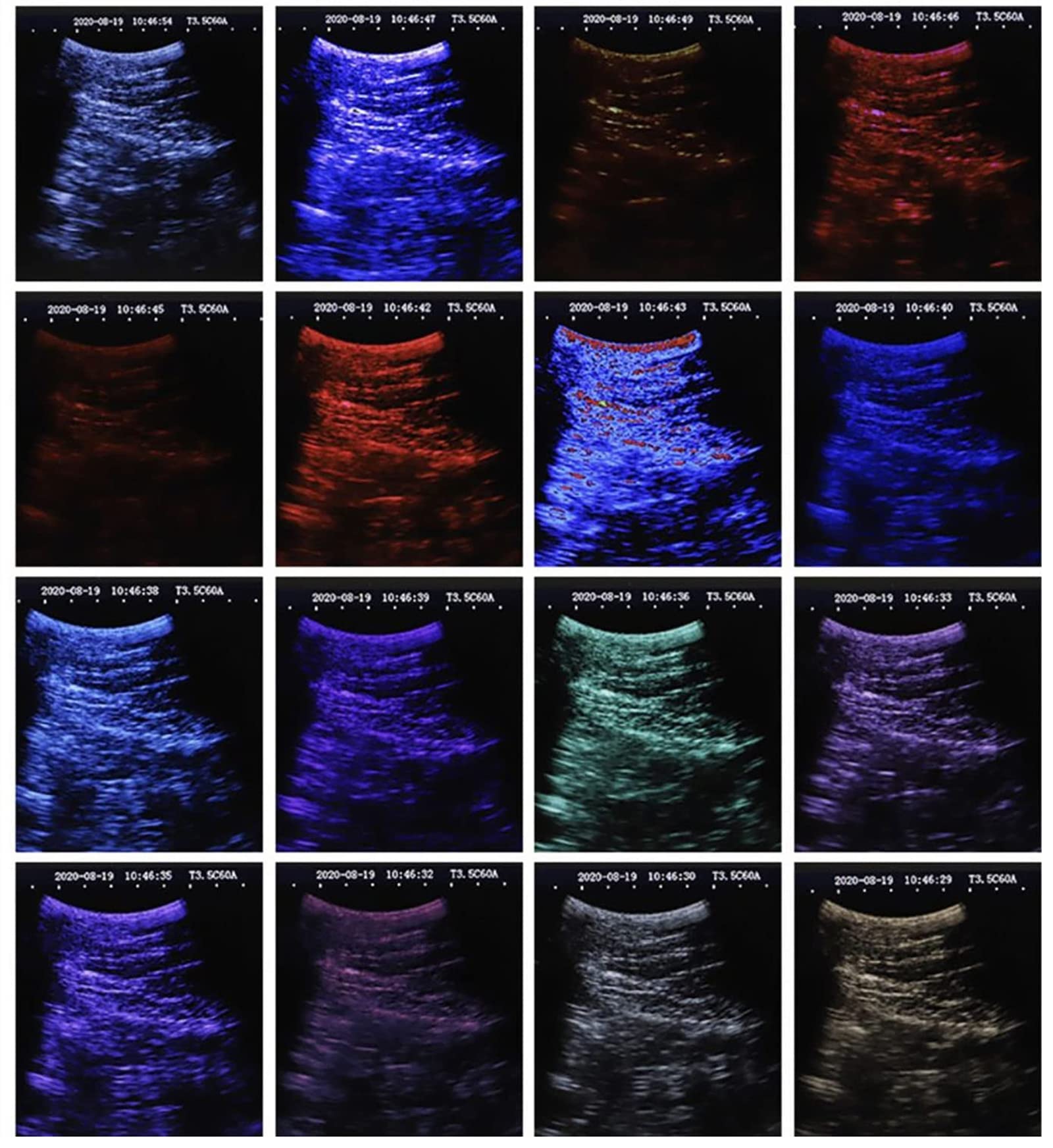 Analizzatore portatile veterinario di ultrasuono con la sonda 3.5MHz per la diagnostica delle pecore e del maiale