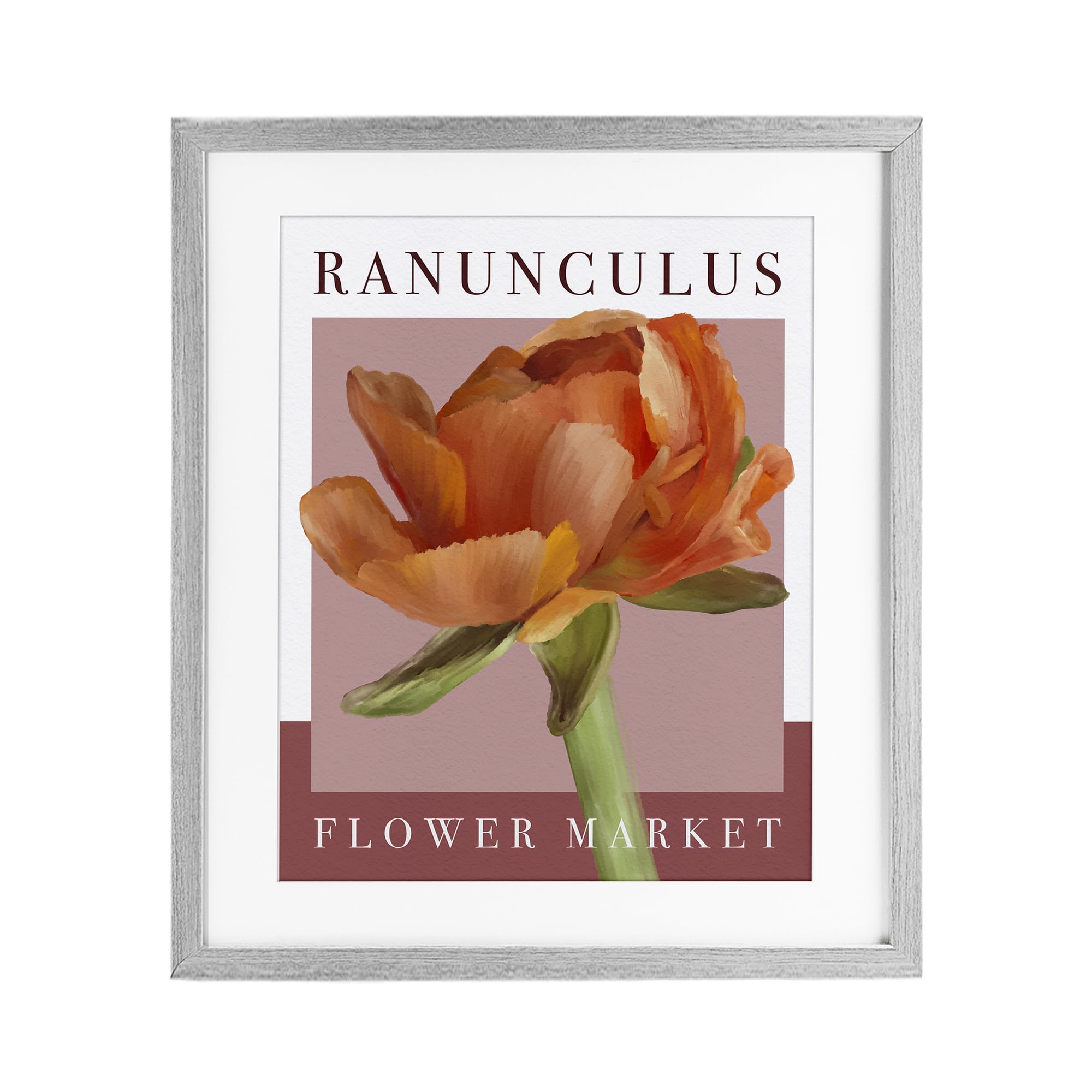 'Ranunculus Flower Market'| Framed Print Under Glass